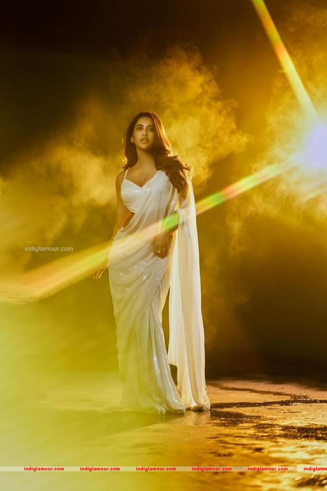 Nabha Natesh Actress hd photo