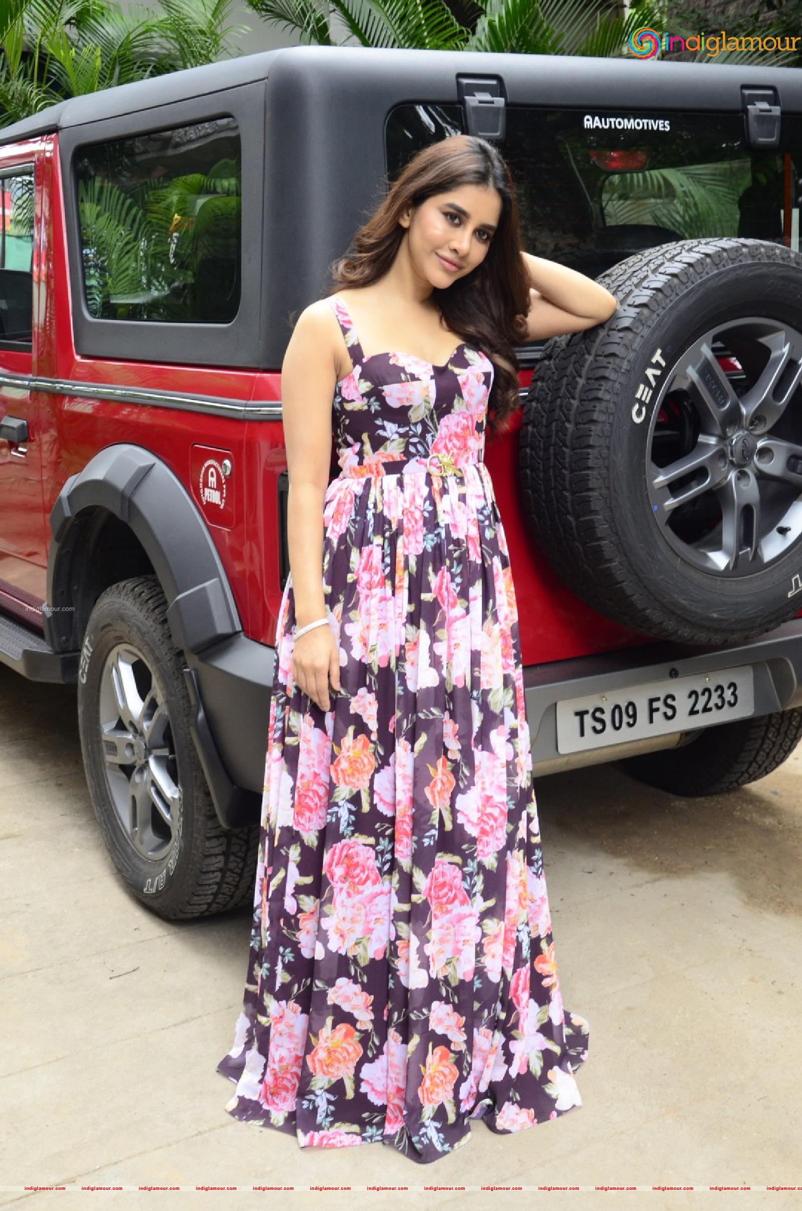 Nabha Natesh Actress hd photo