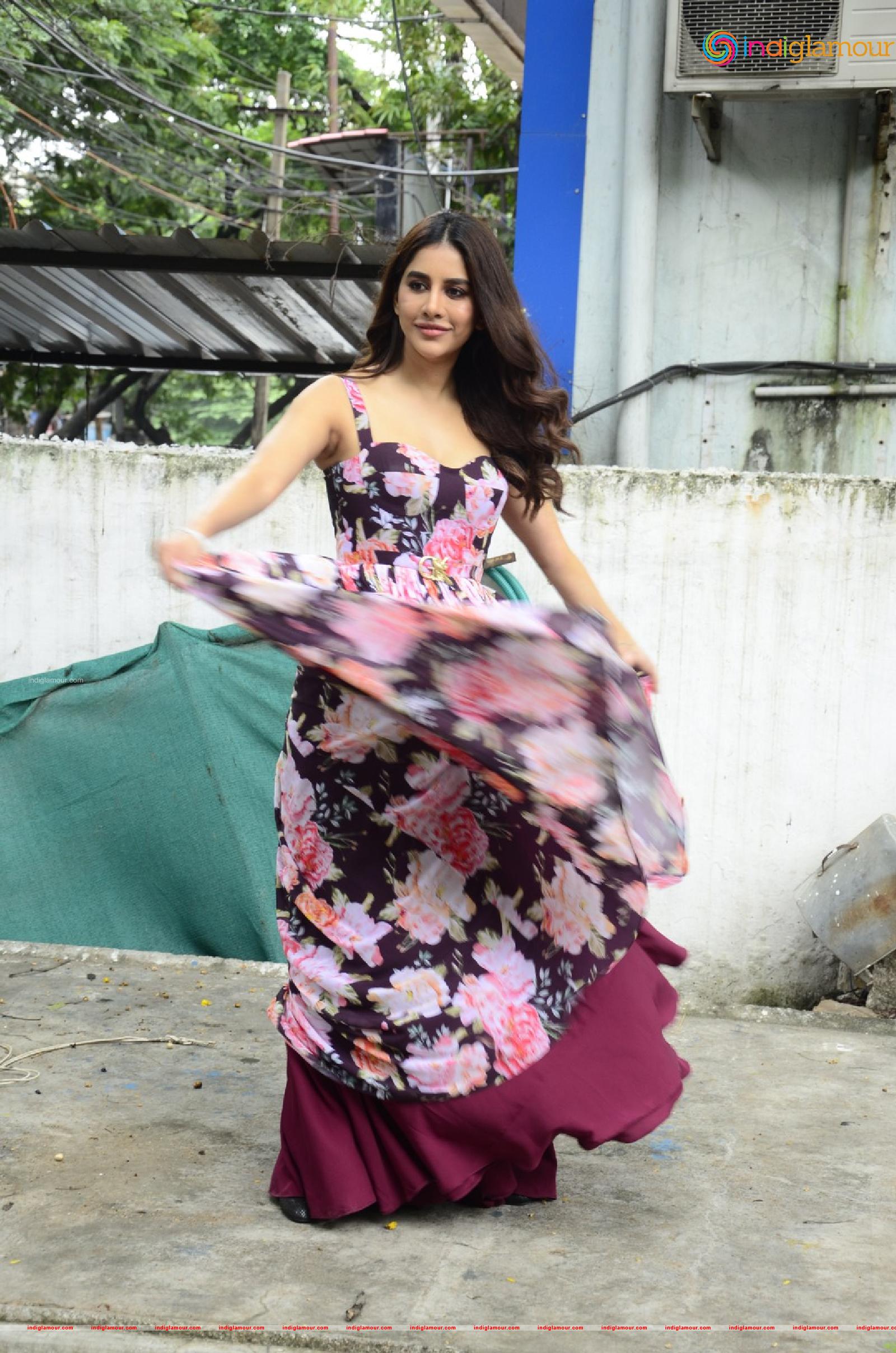 Nabha Natesh Actress hd photo