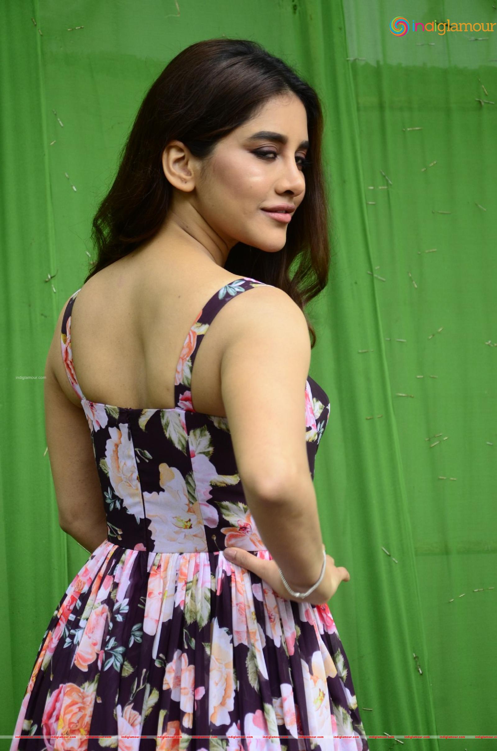 Nabha Natesh Actress hd photo