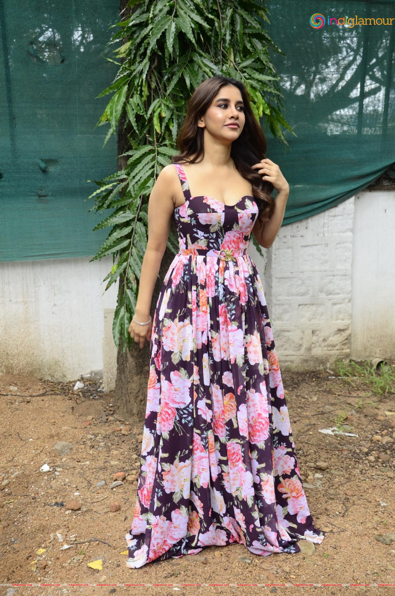 Nabha Natesh Actress hd photo