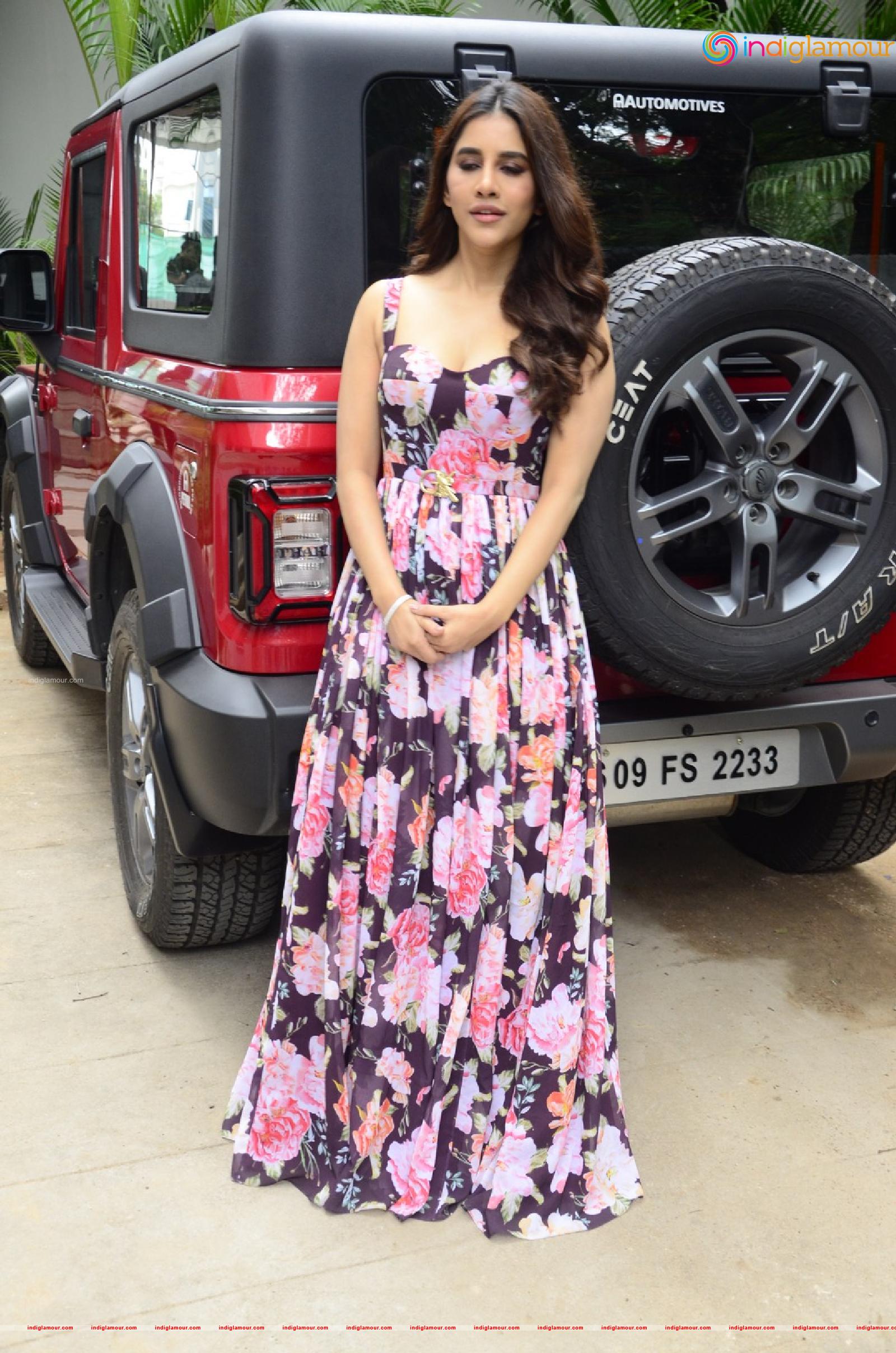 Nabha Natesh Actress hd photo