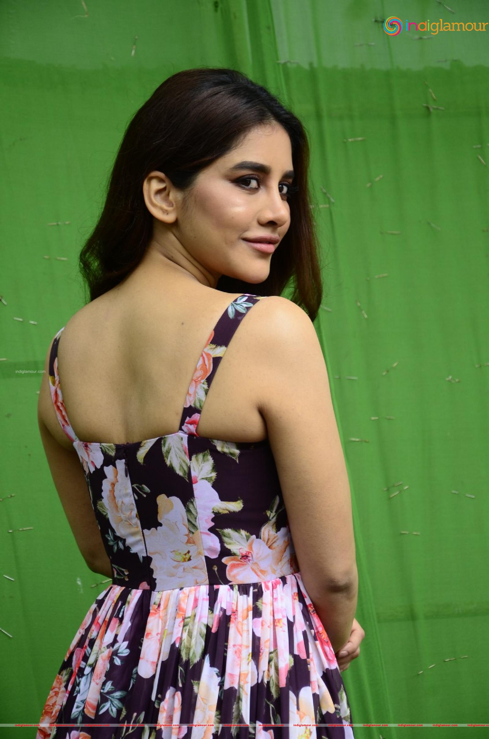 Nabha Natesh Actress hd photo