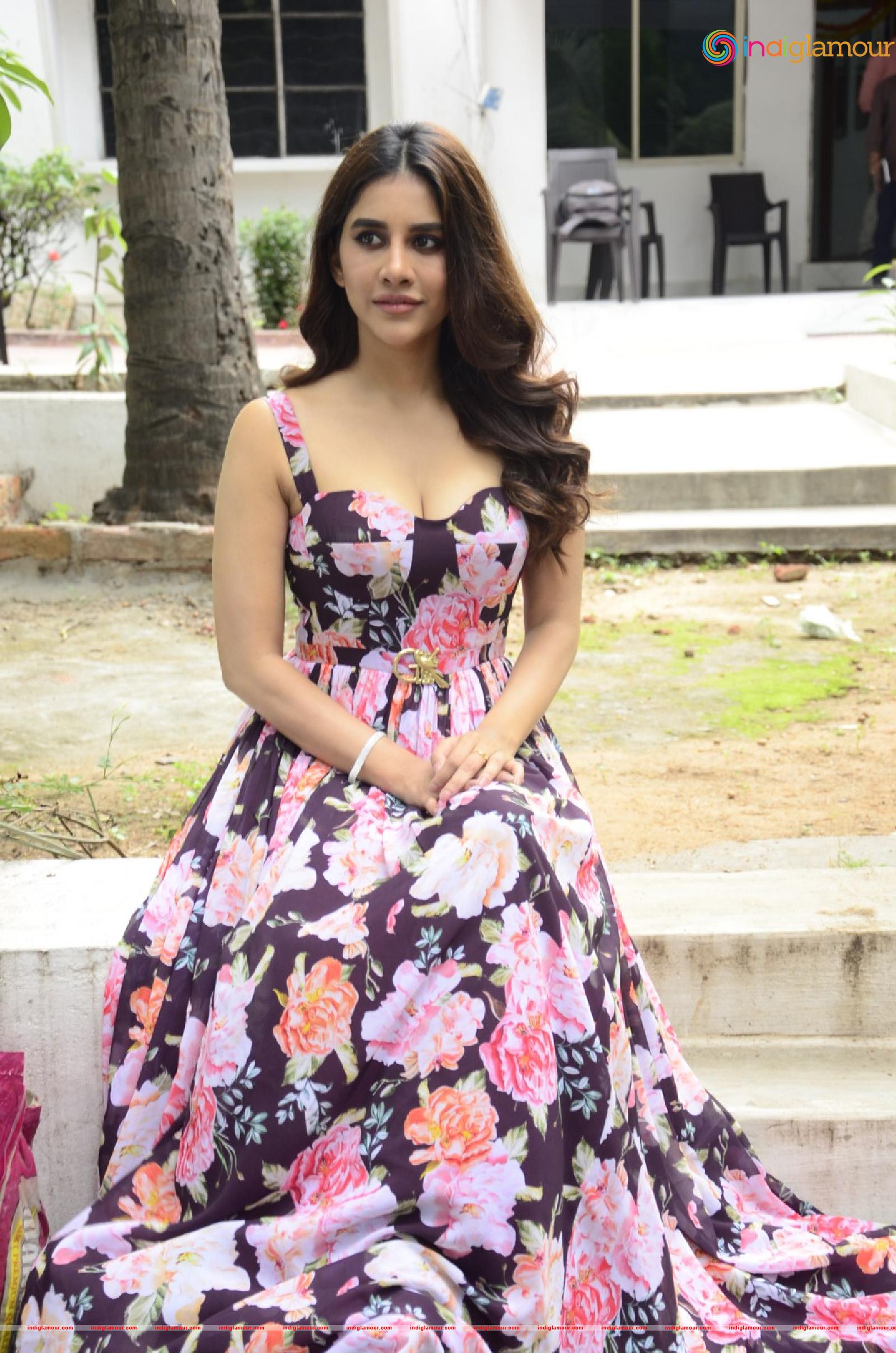 Nabha Natesh Actress hd photo