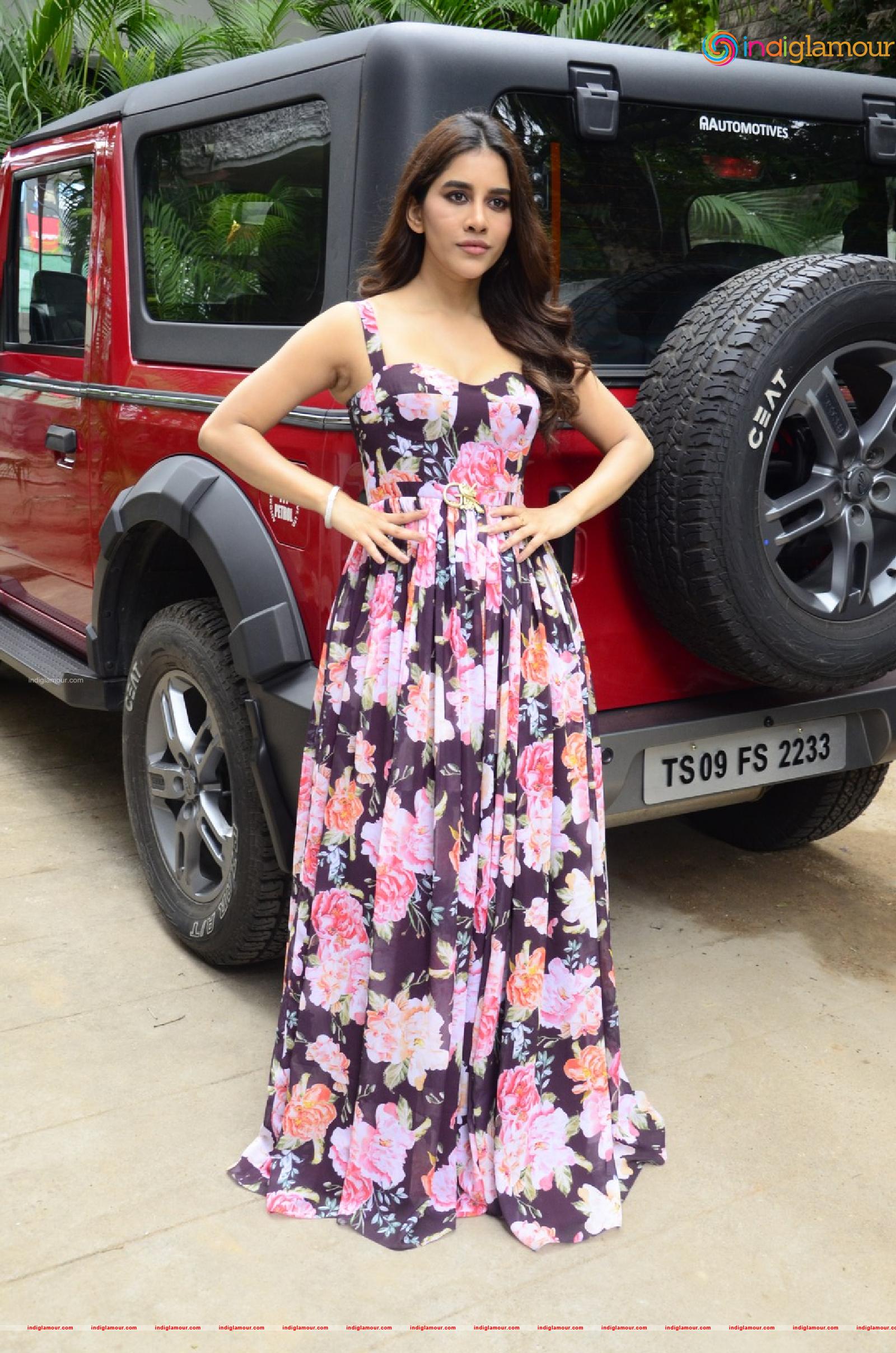 Nabha Natesh Actress hd photo