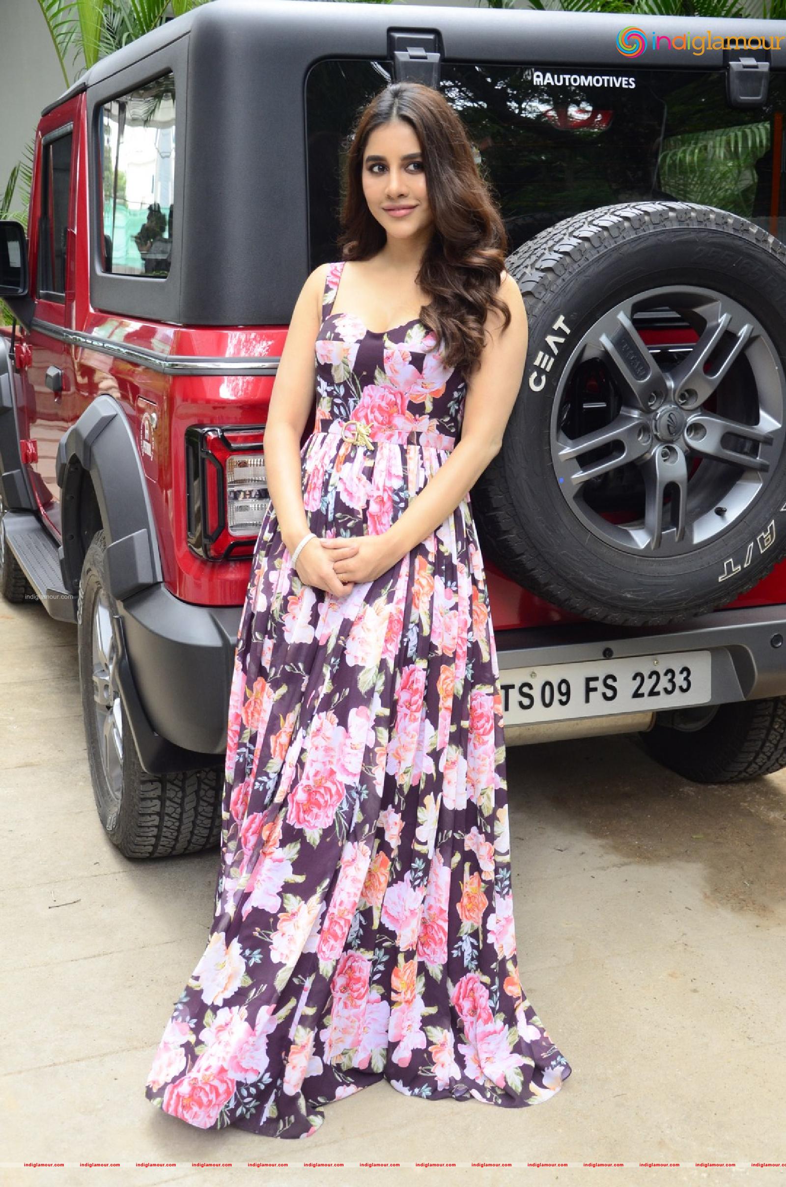 Nabha Natesh Actress hd photo