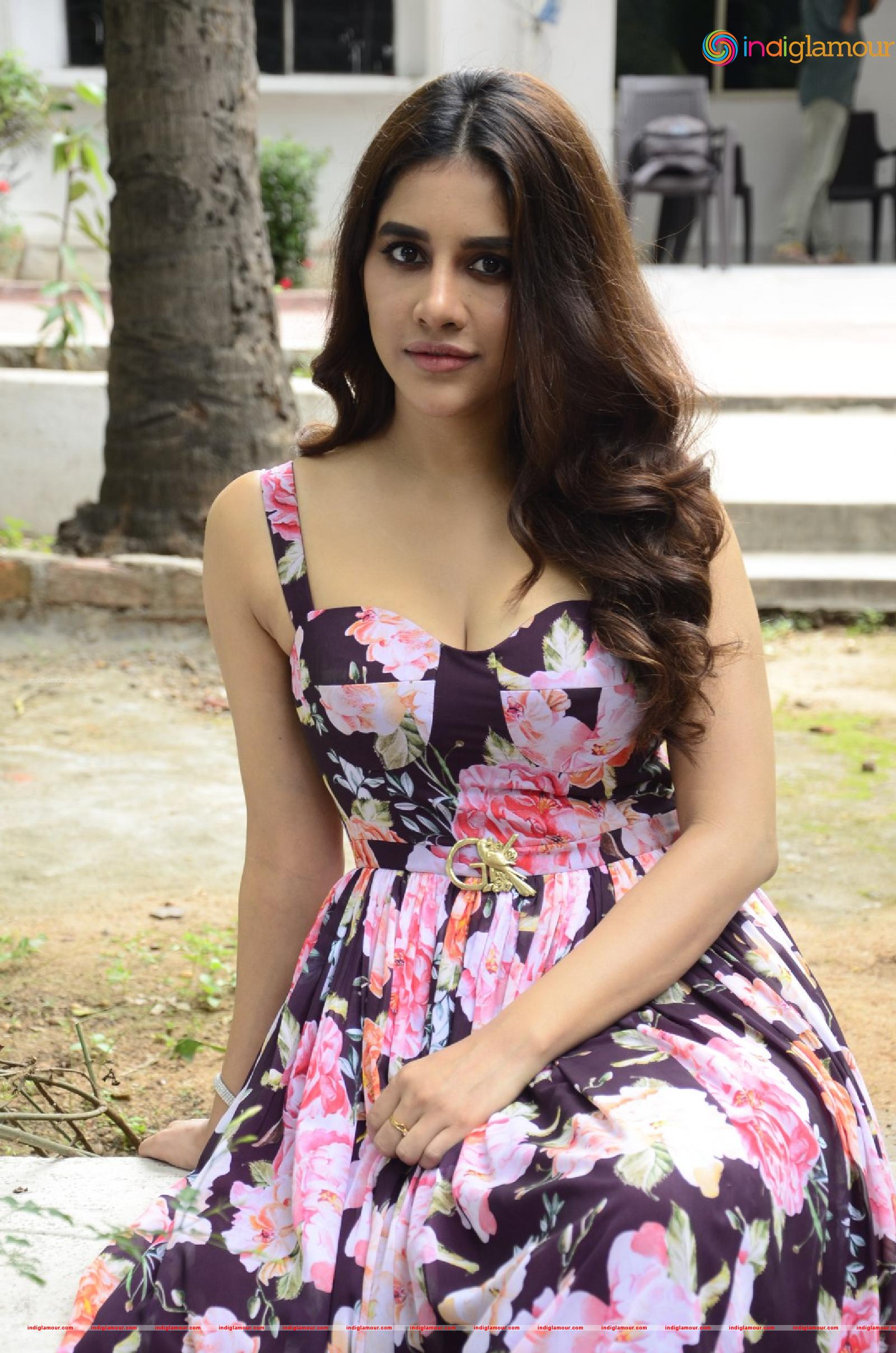 Nabha Natesh Actress hd photo