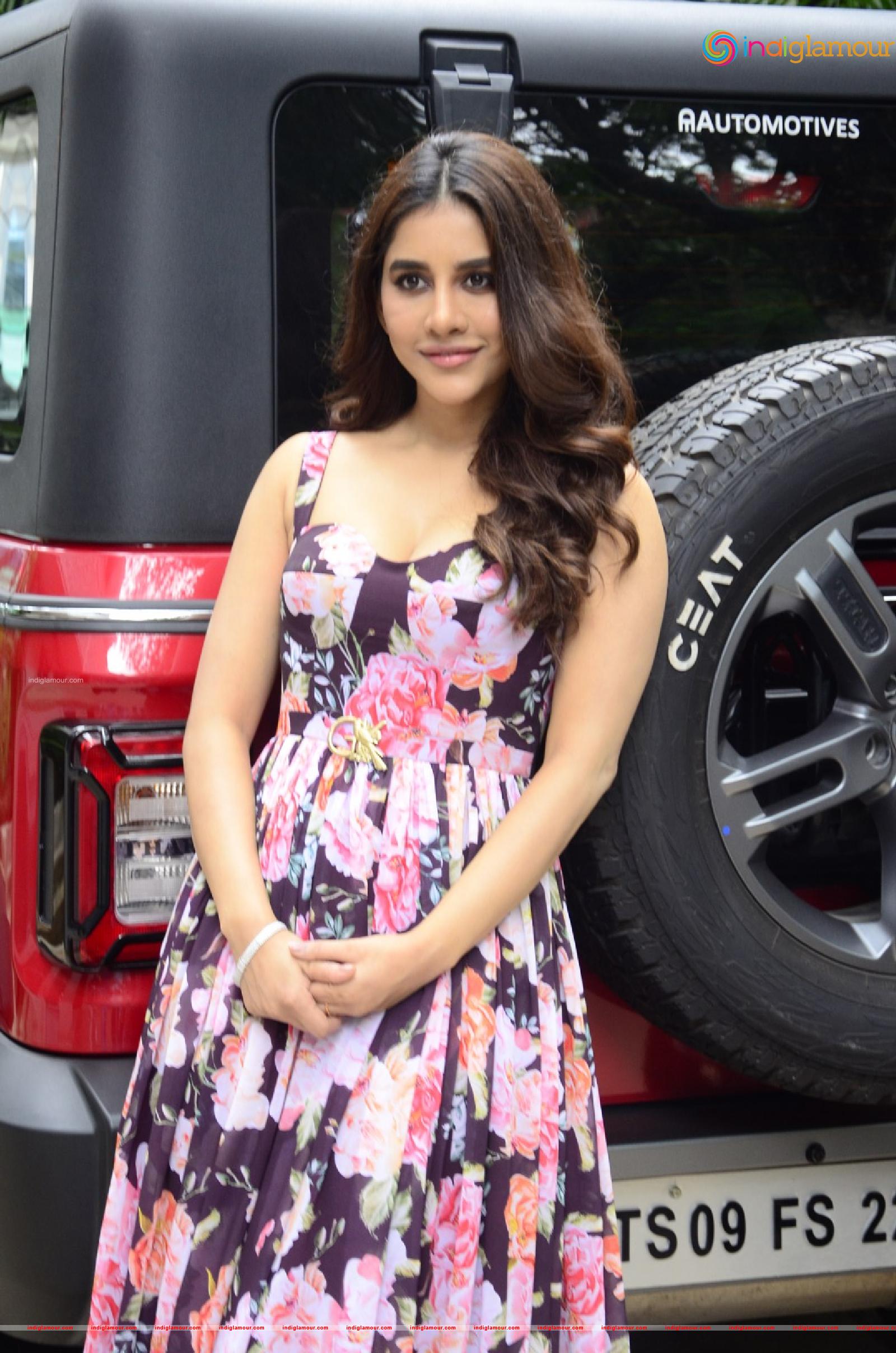 Nabha Natesh Actress hd photo