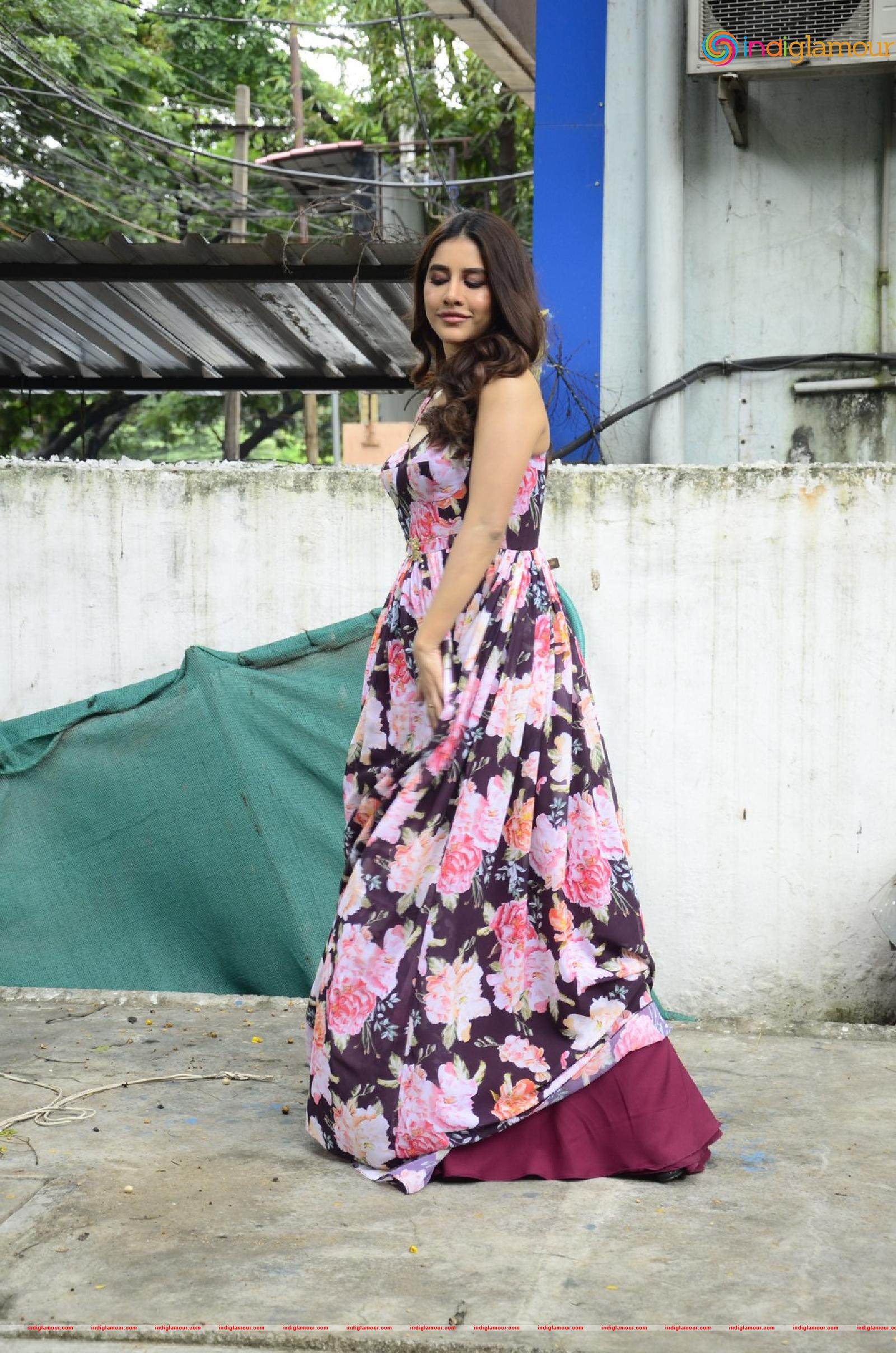 Nabha Natesh Actress hd photo