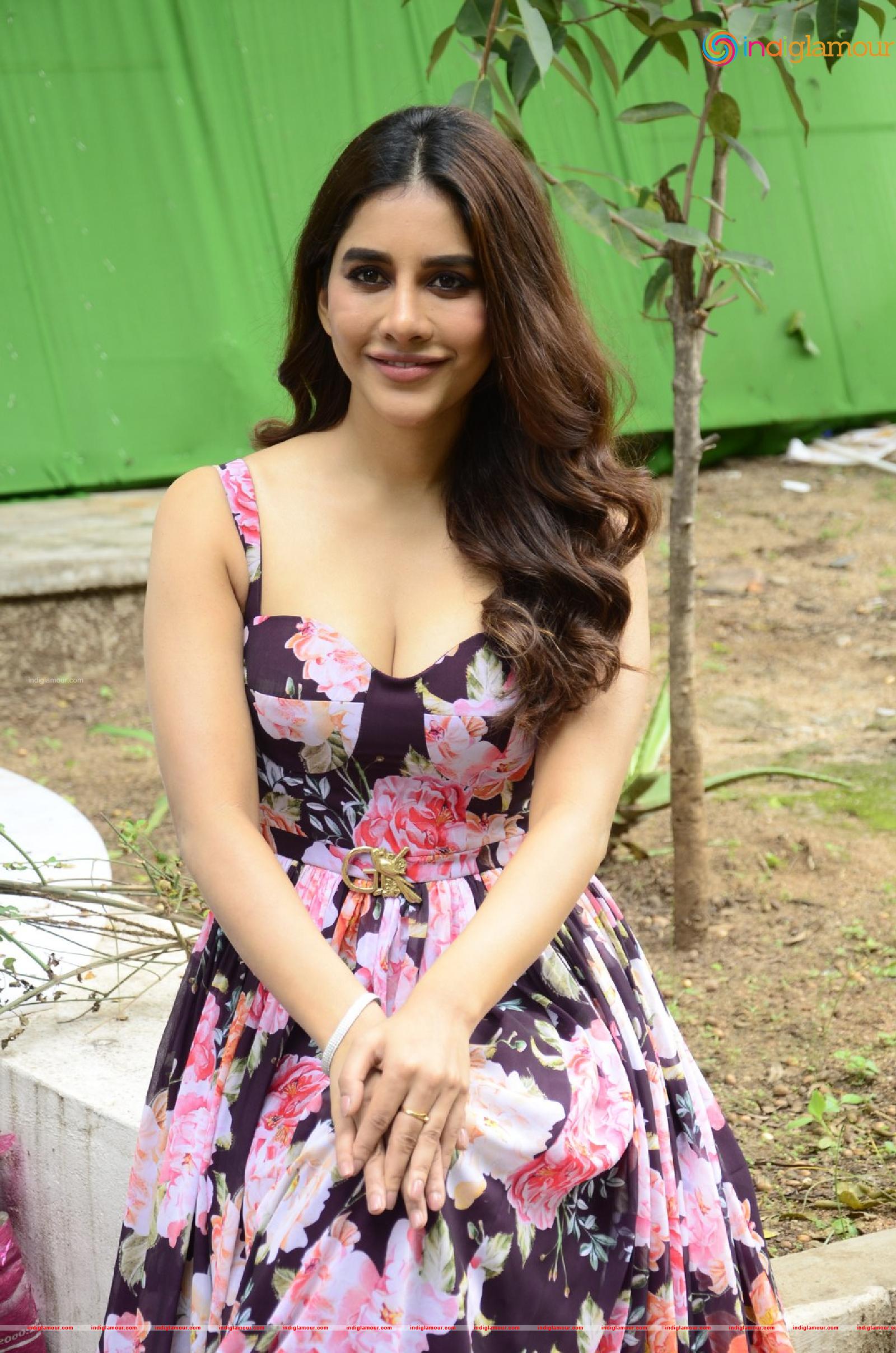 Nabha Natesh Actress hd photo