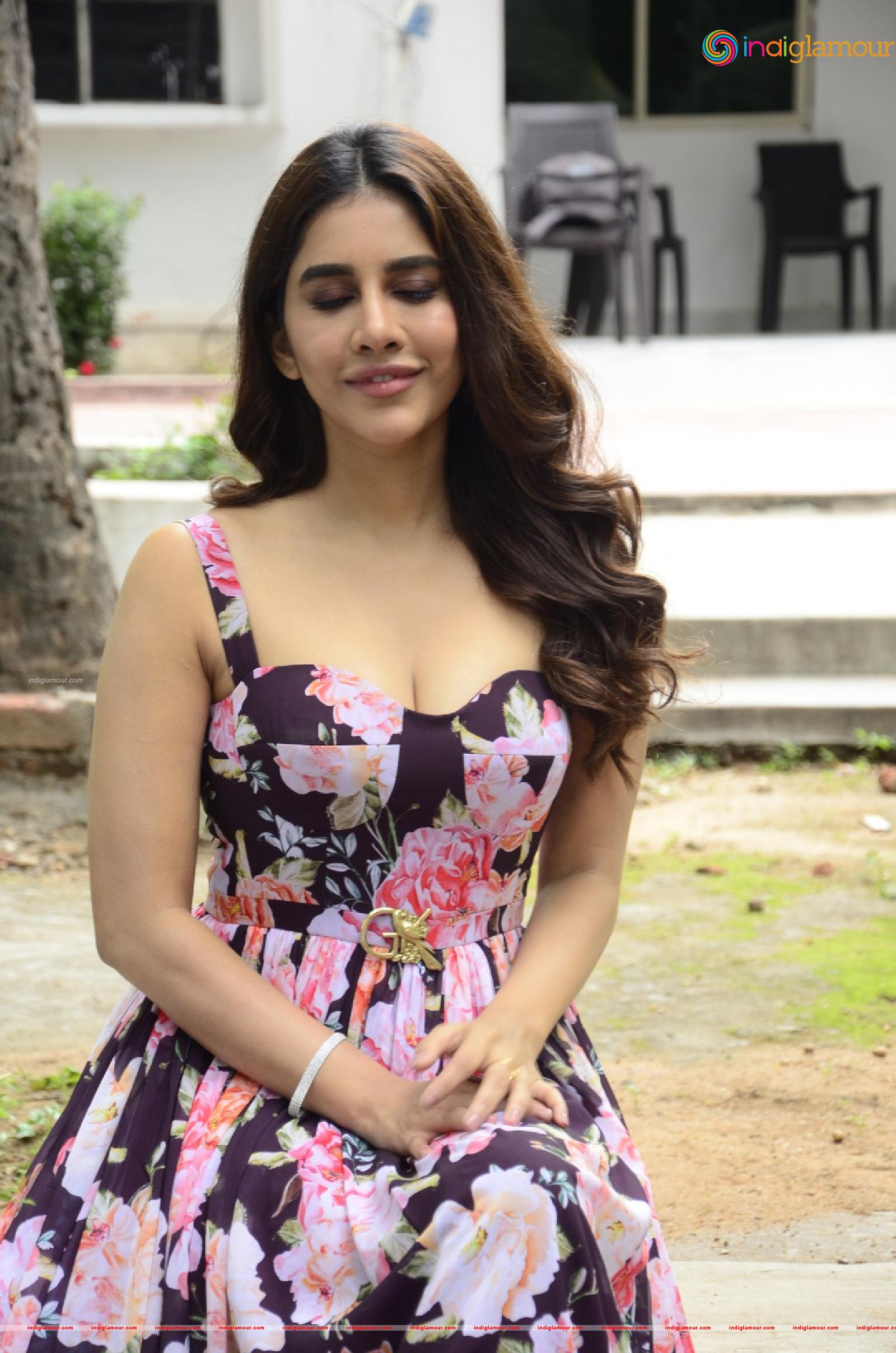 Nabha Natesh Actress hd photo