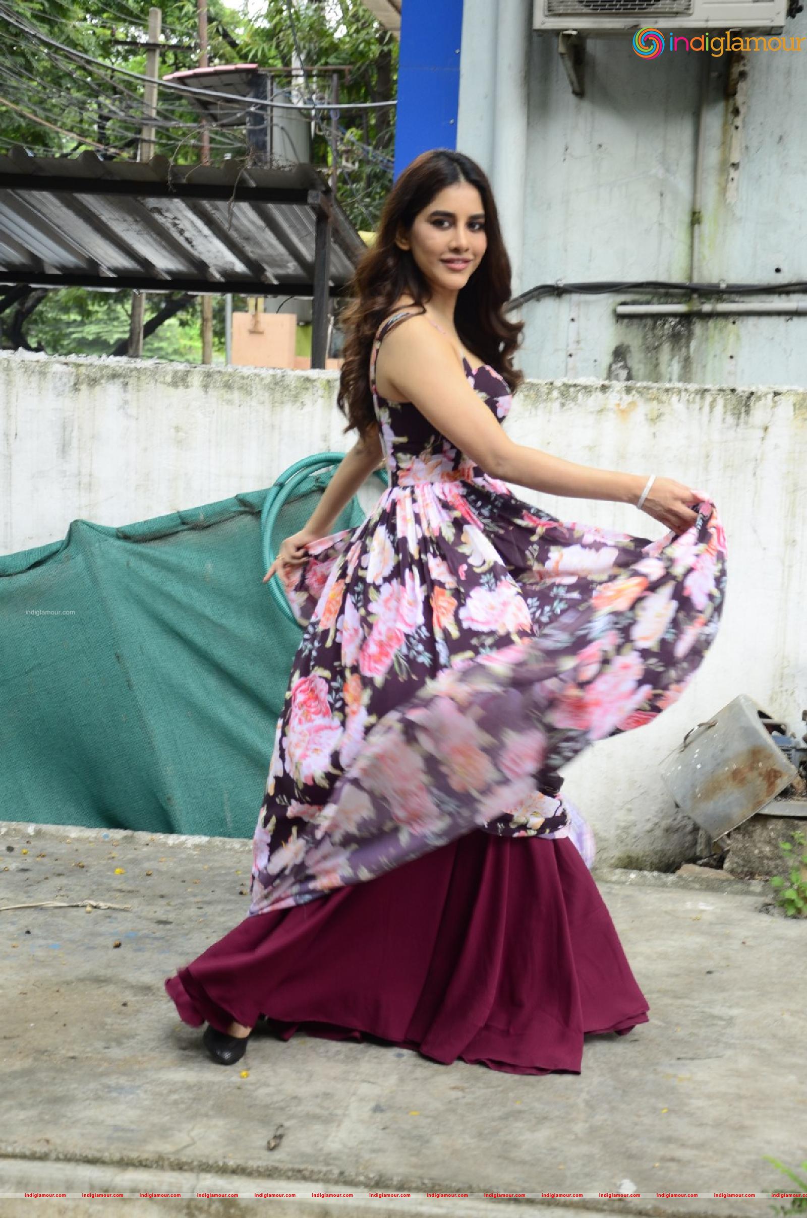Nabha Natesh Actress hd photo