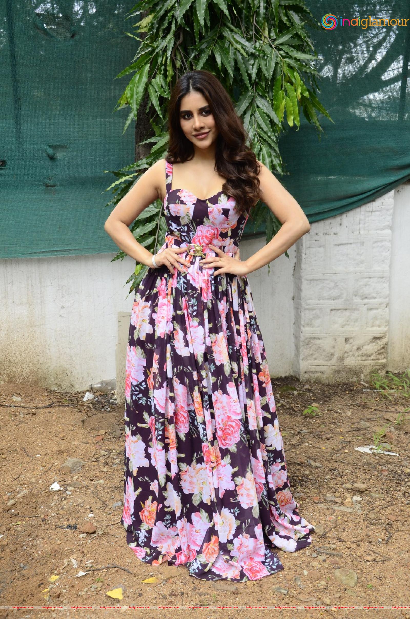 Nabha Natesh Actress hd photo