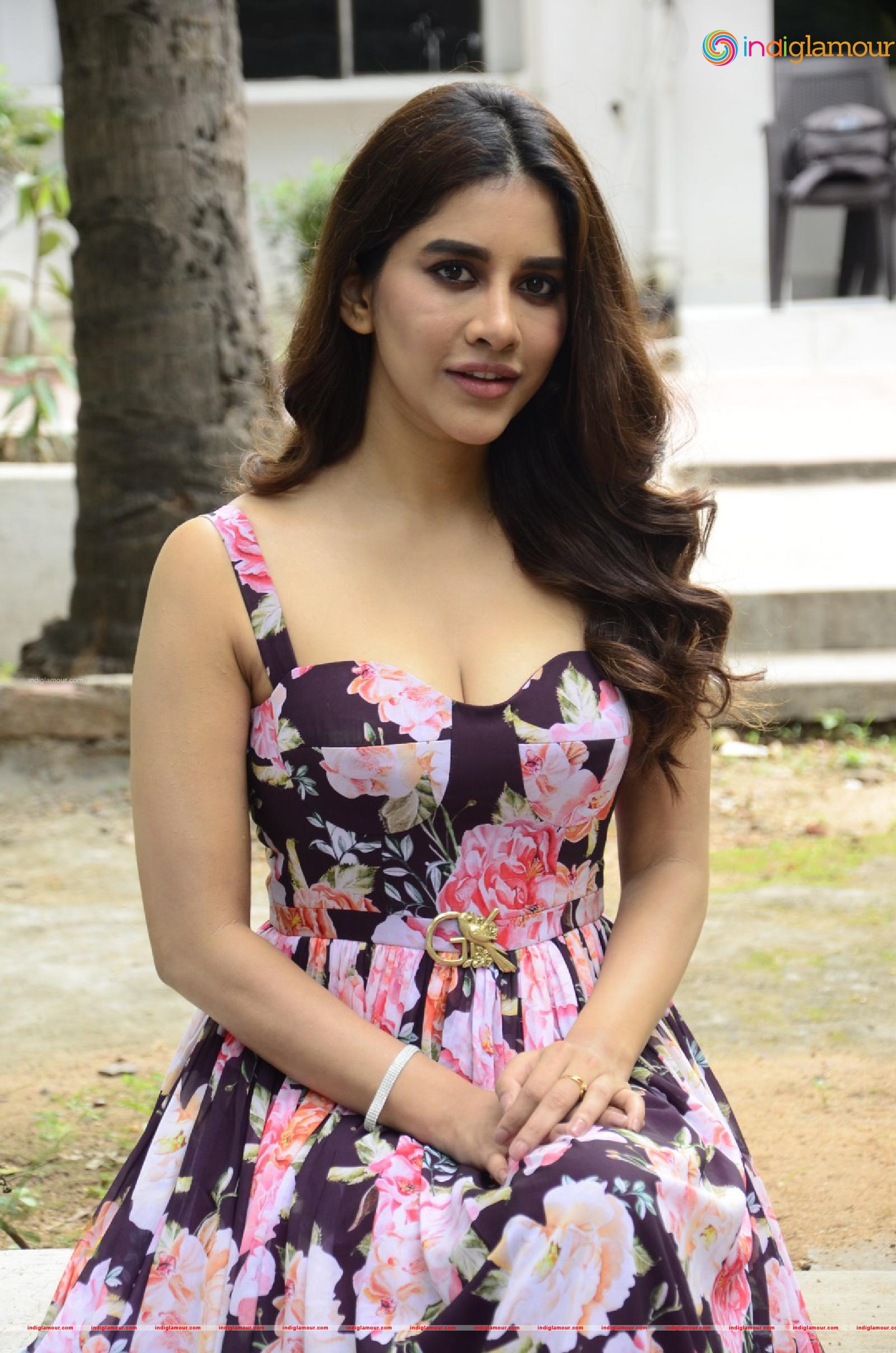 Nabha Natesh Actress hd photo