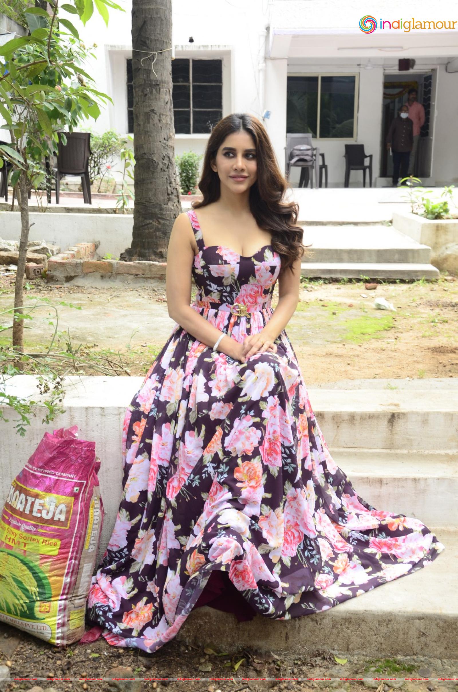 Nabha Natesh Actress hd photo