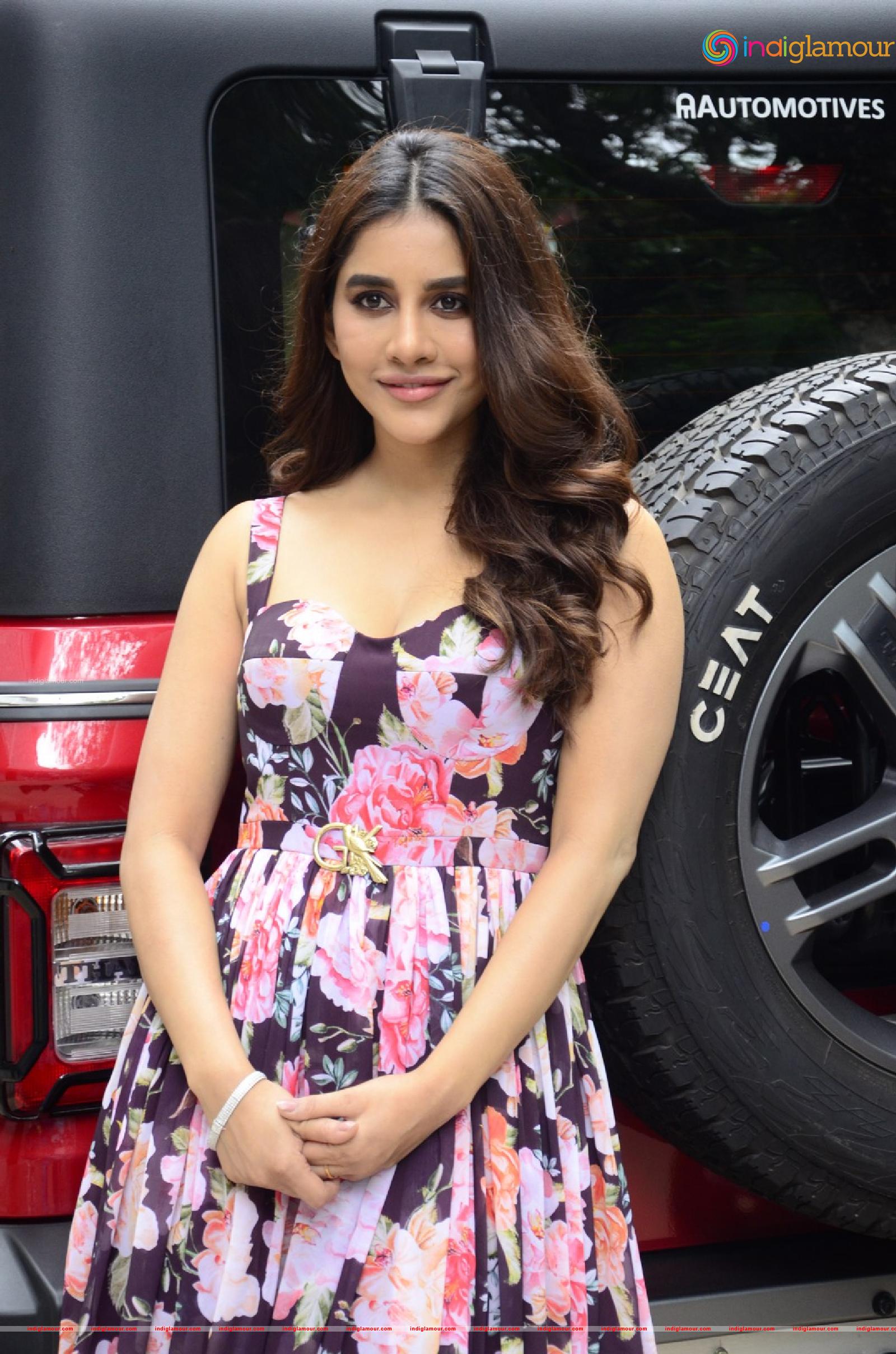 Nabha Natesh Actress hd photo