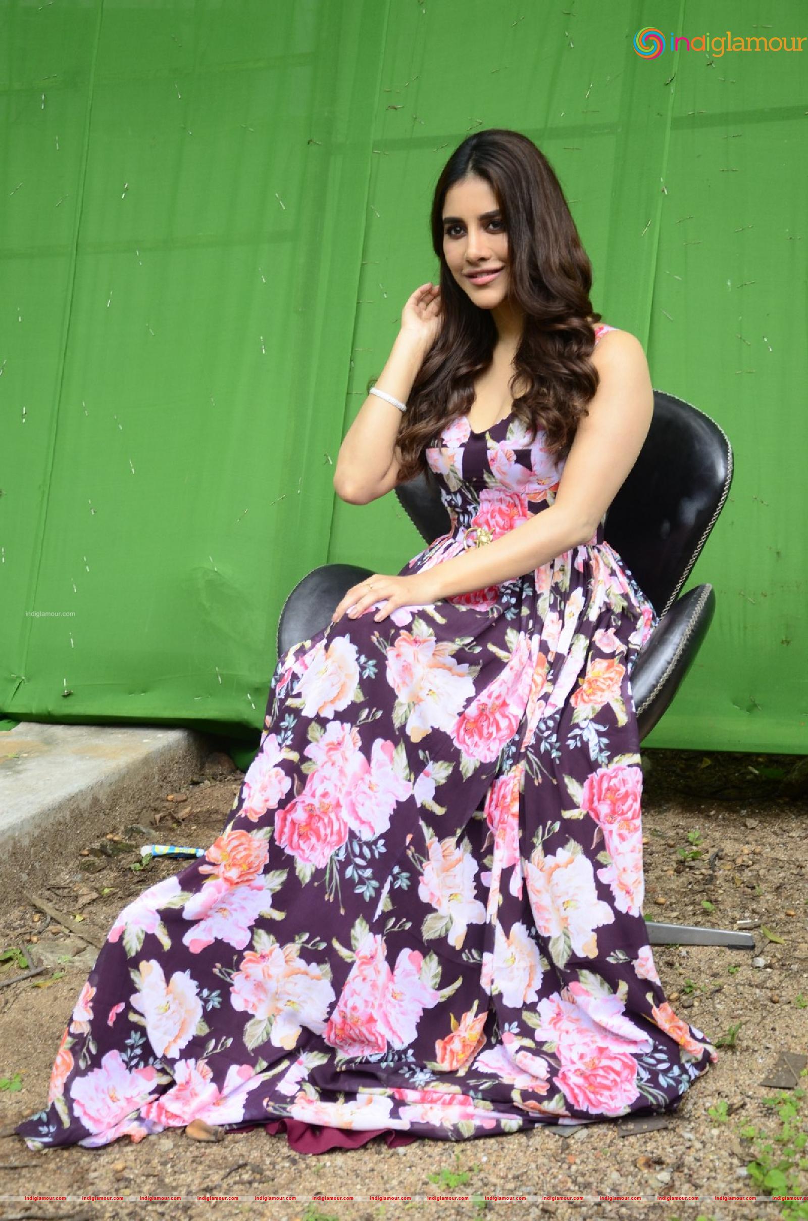 Nabha Natesh Actress hd photo