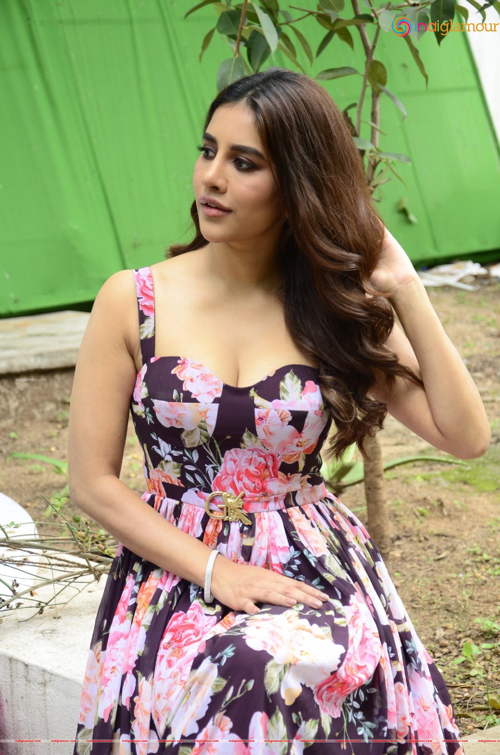 Nabha Natesh Actress hd photo