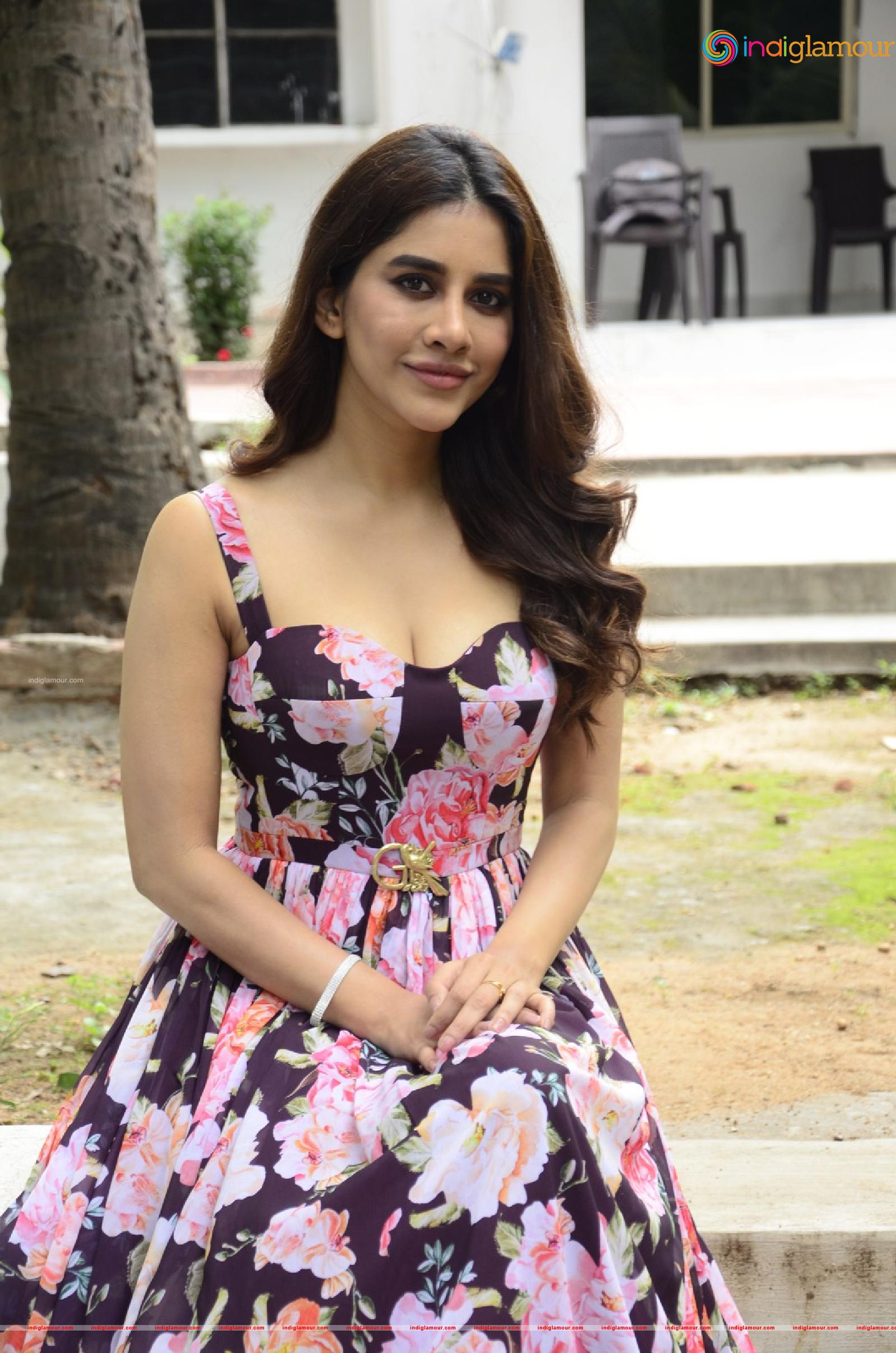 Nabha Natesh Actress hd photo