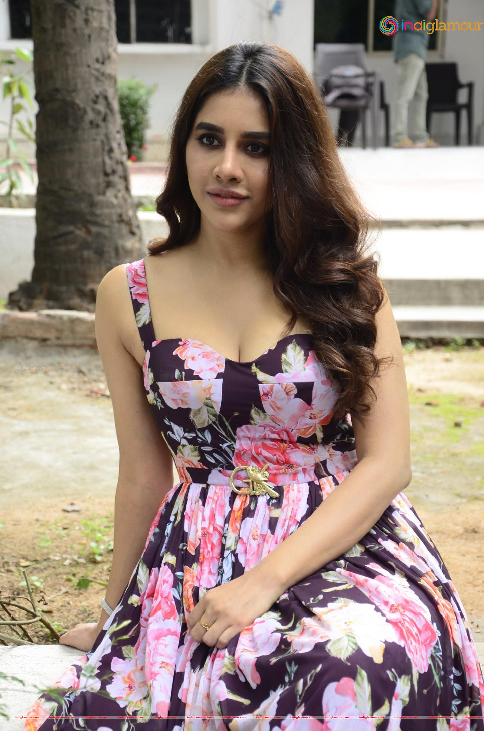 Nabha Natesh Actress hd photo