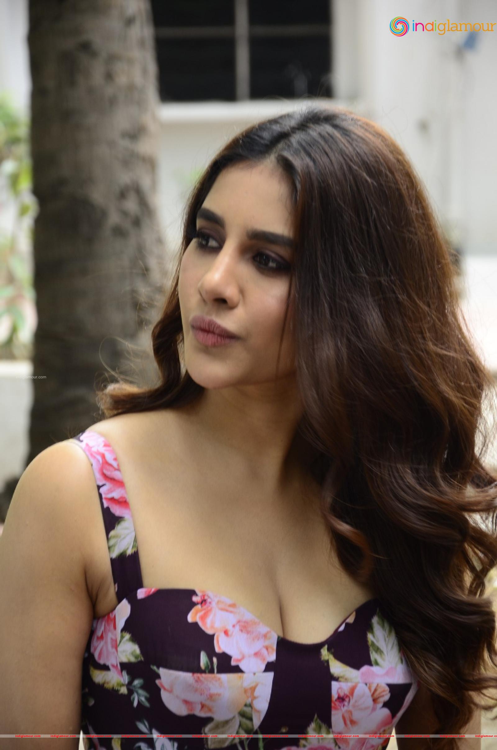 Nabha Natesh Actress hd photo