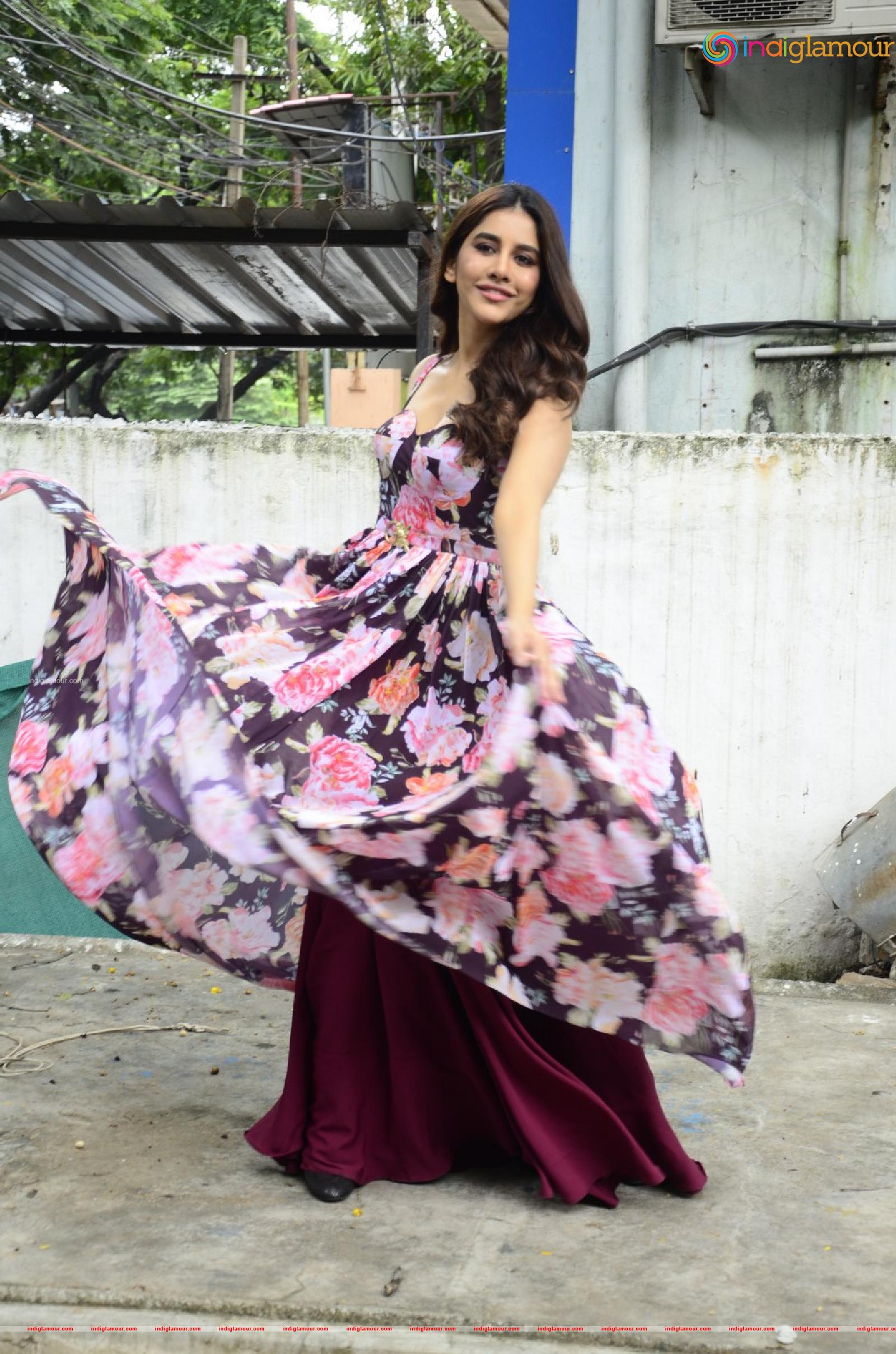 Nabha Natesh Actress hd photo