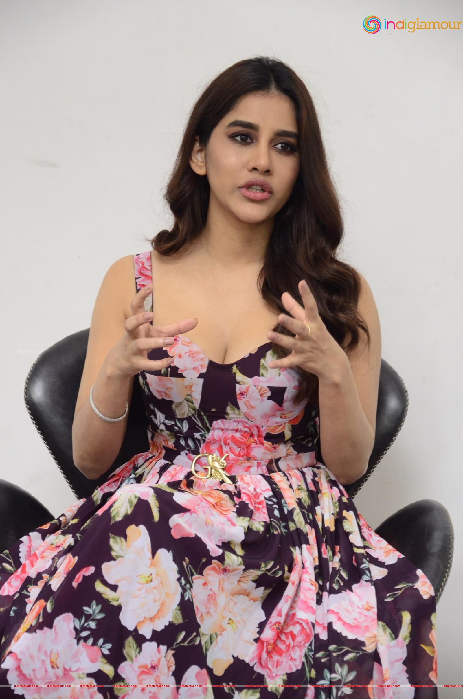 Nabha Natesh Actress hd photo