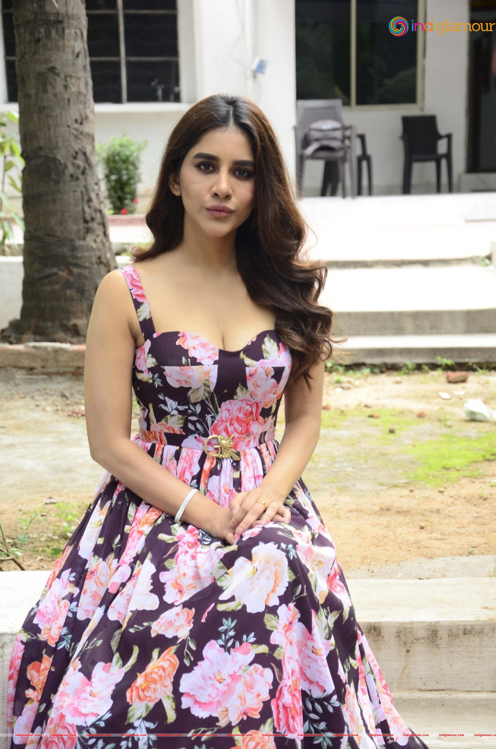Nabha Natesh Actress hd photo