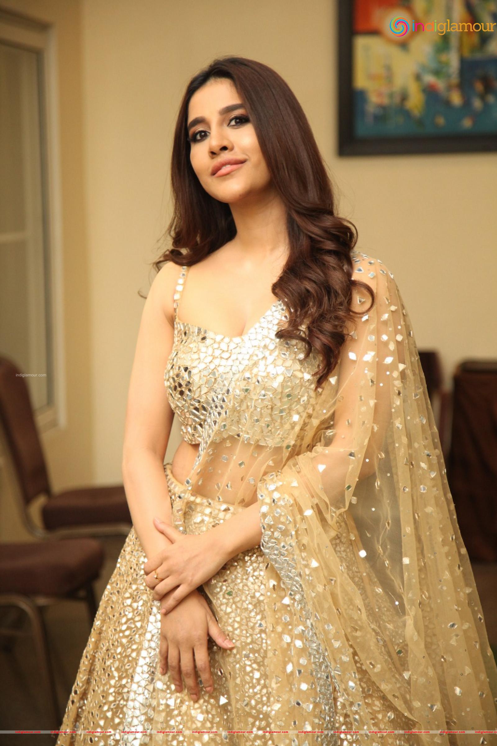 Nabha Natesh Actress hd photo
