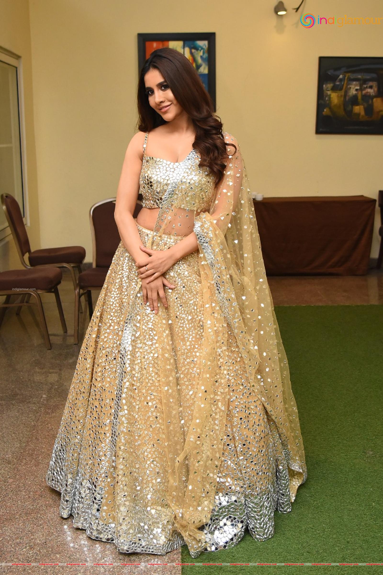 Nabha Natesh Actress hd photo