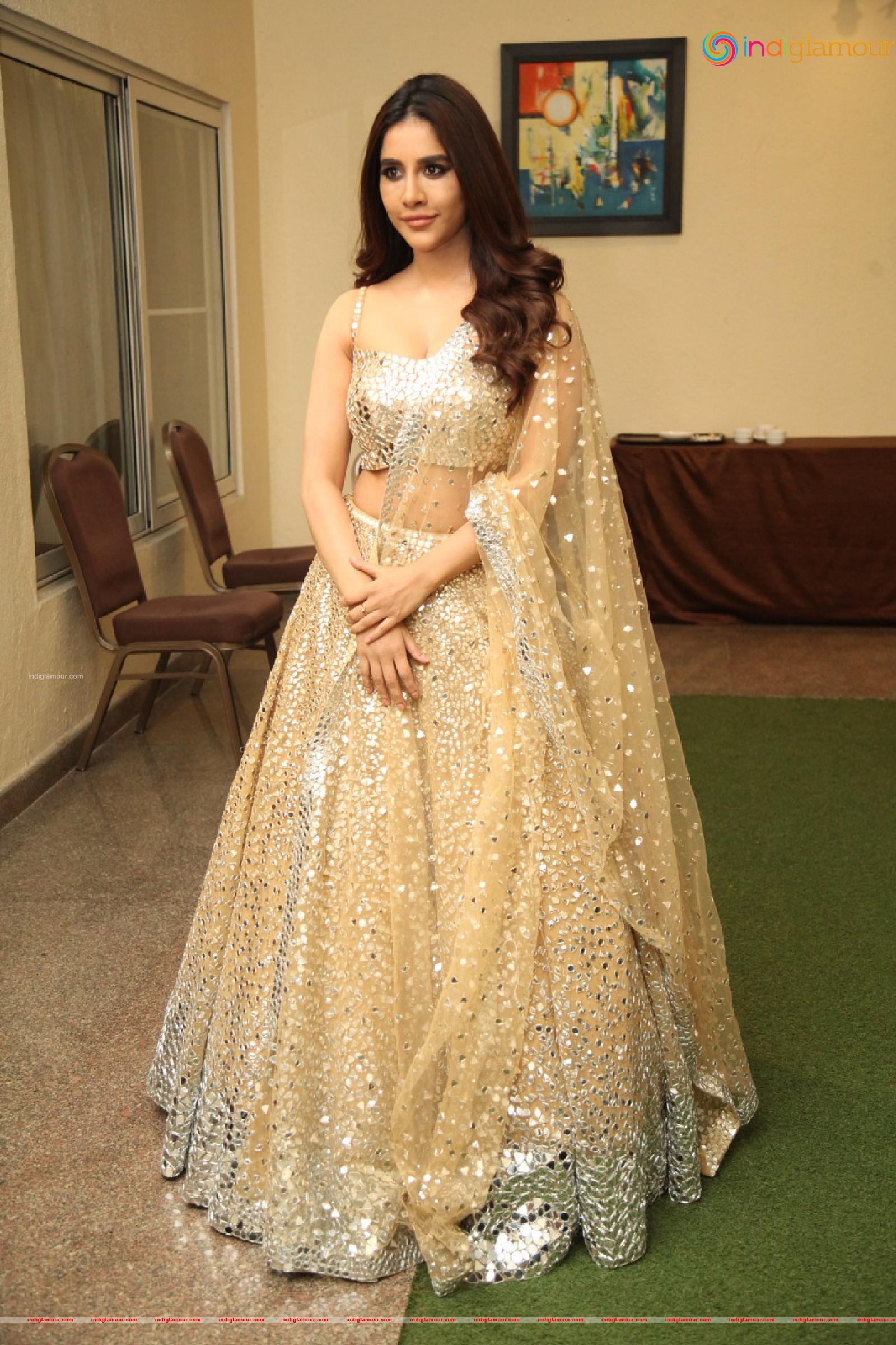 Nabha Natesh Actress hd photo