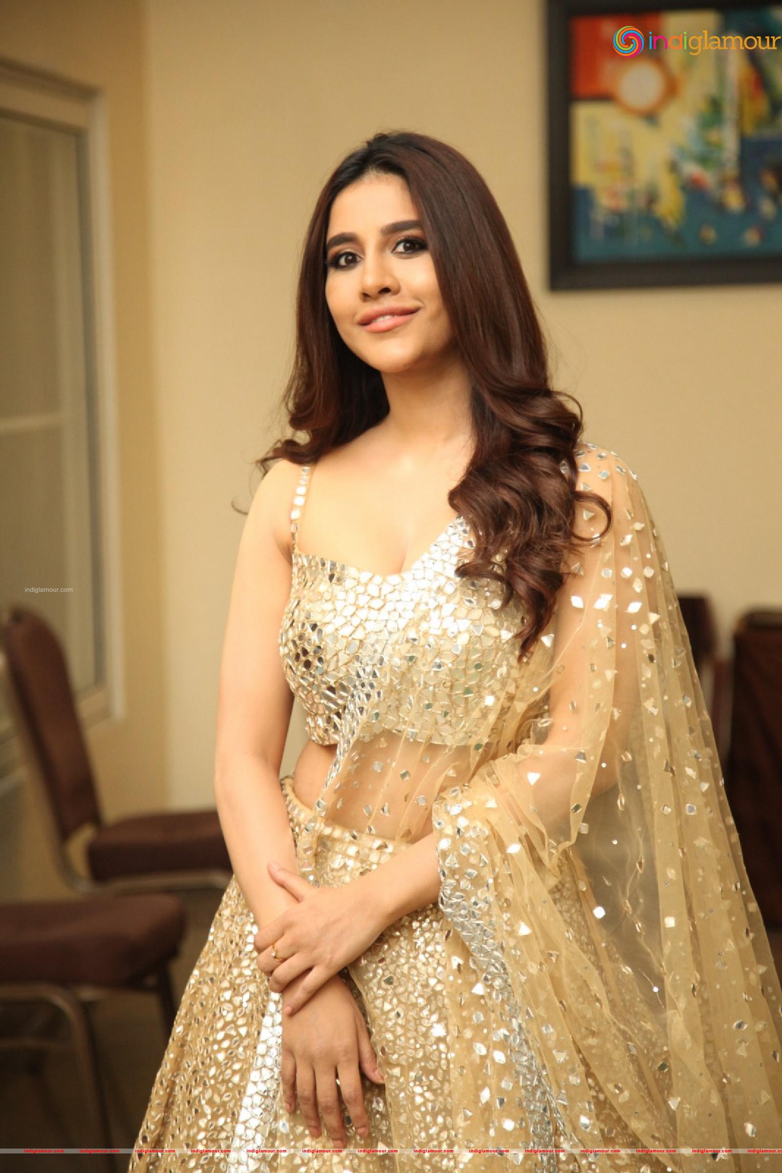 Nabha Natesh Actress hd photo