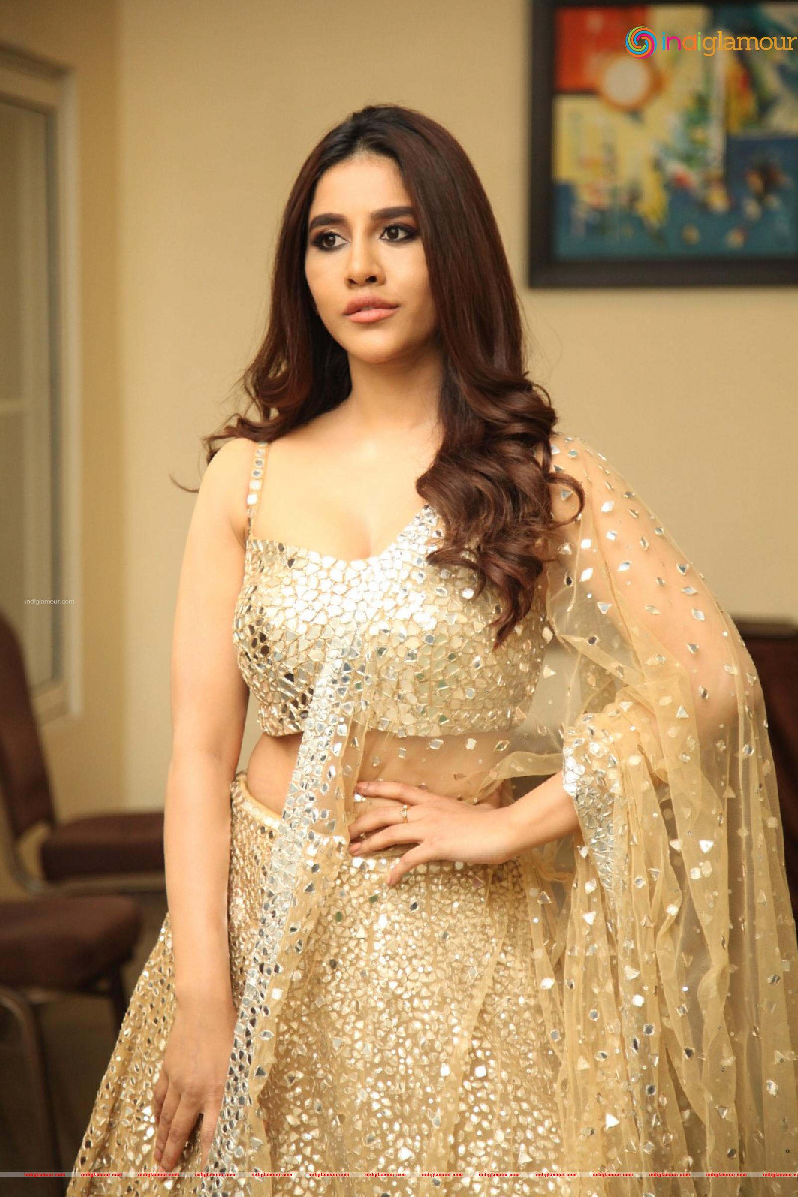 Nabha Natesh Actress hd photo