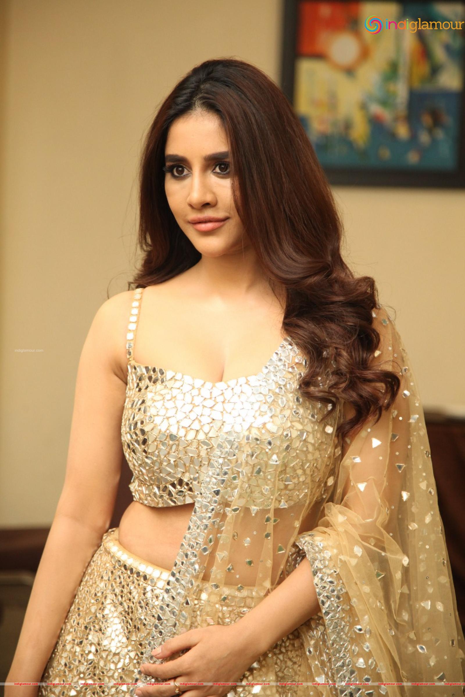 Nabha Natesh Actress hd photo