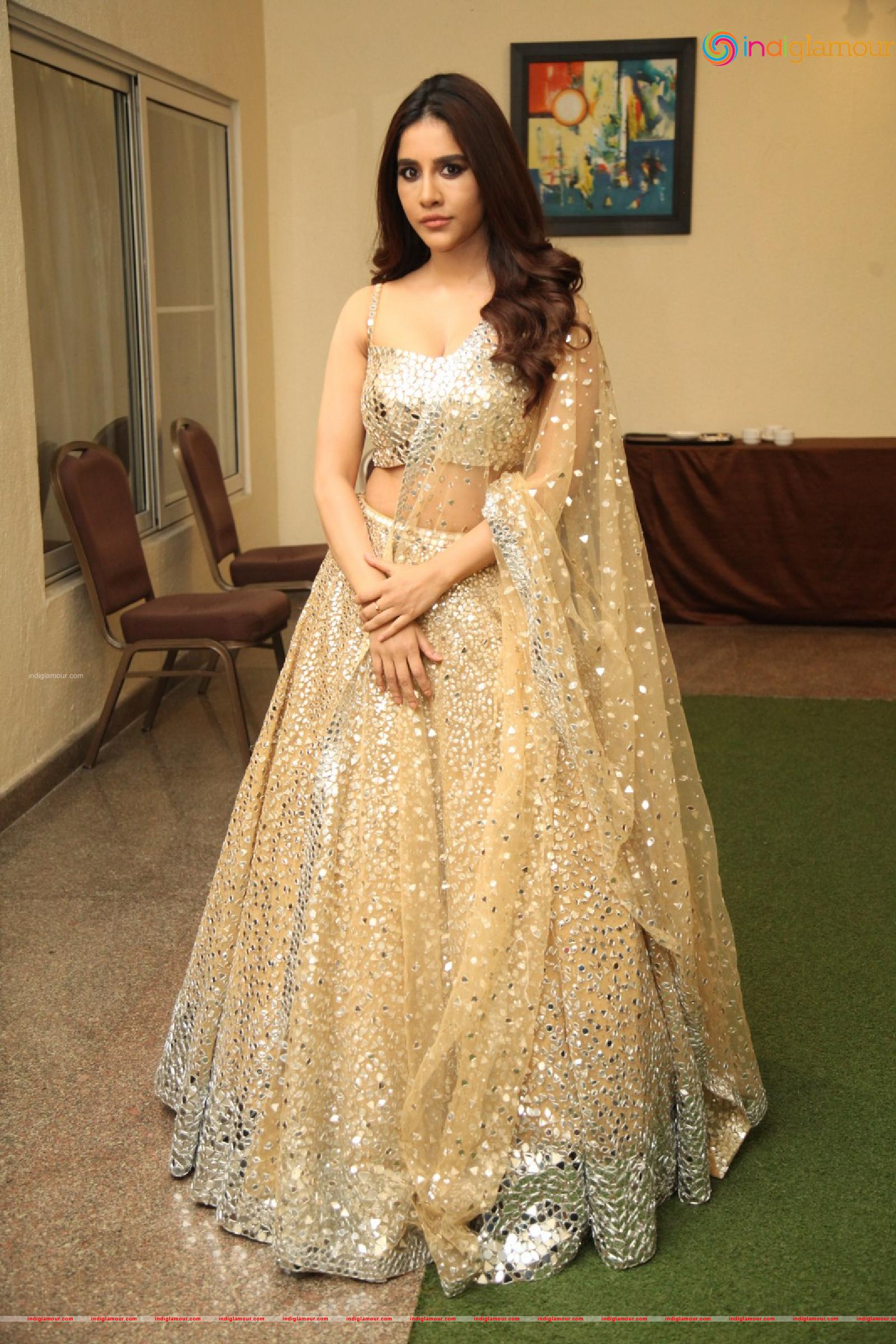 Nabha Natesh Actress hd photo