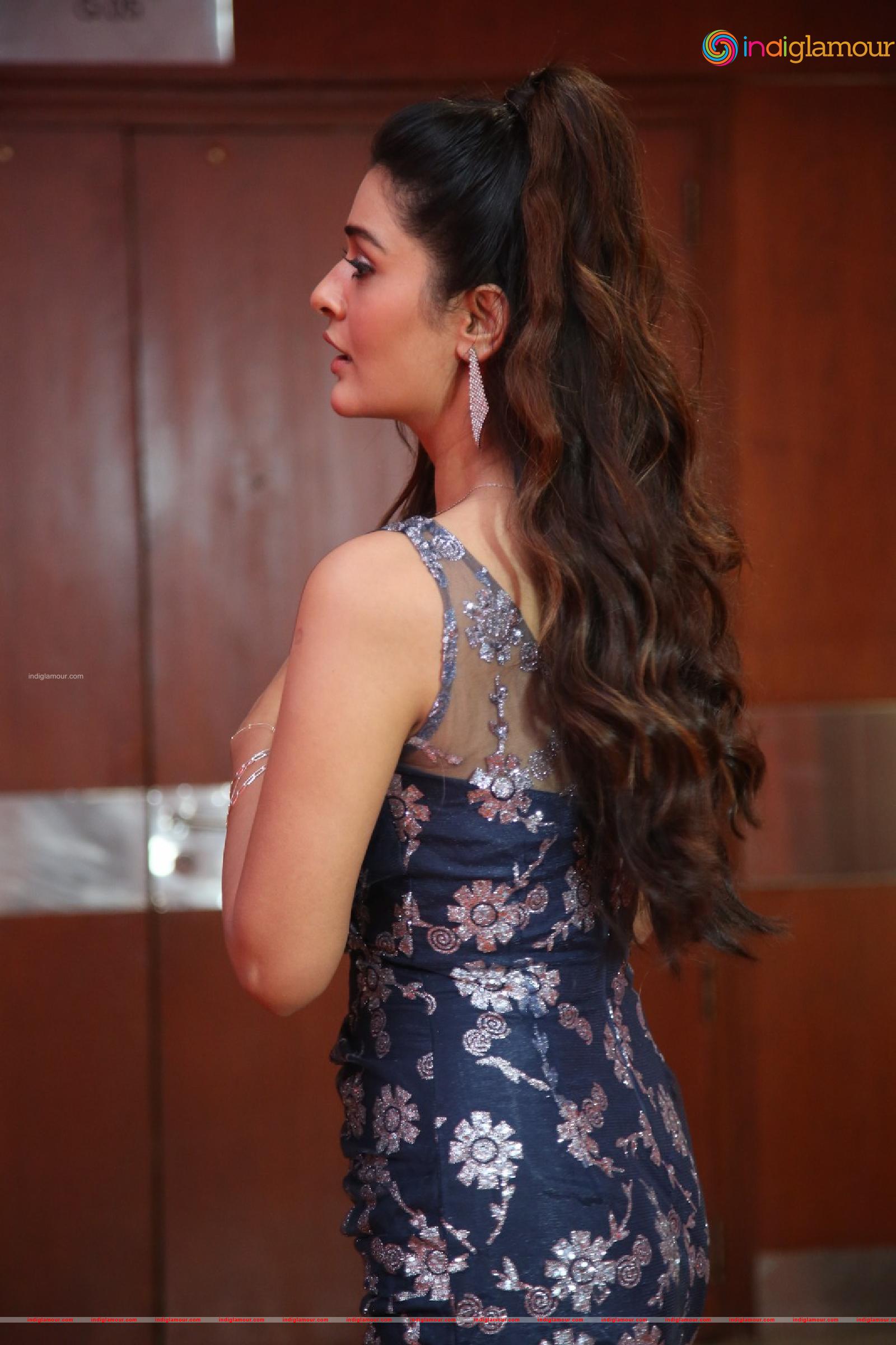 Payal Rajput Actress hd photo