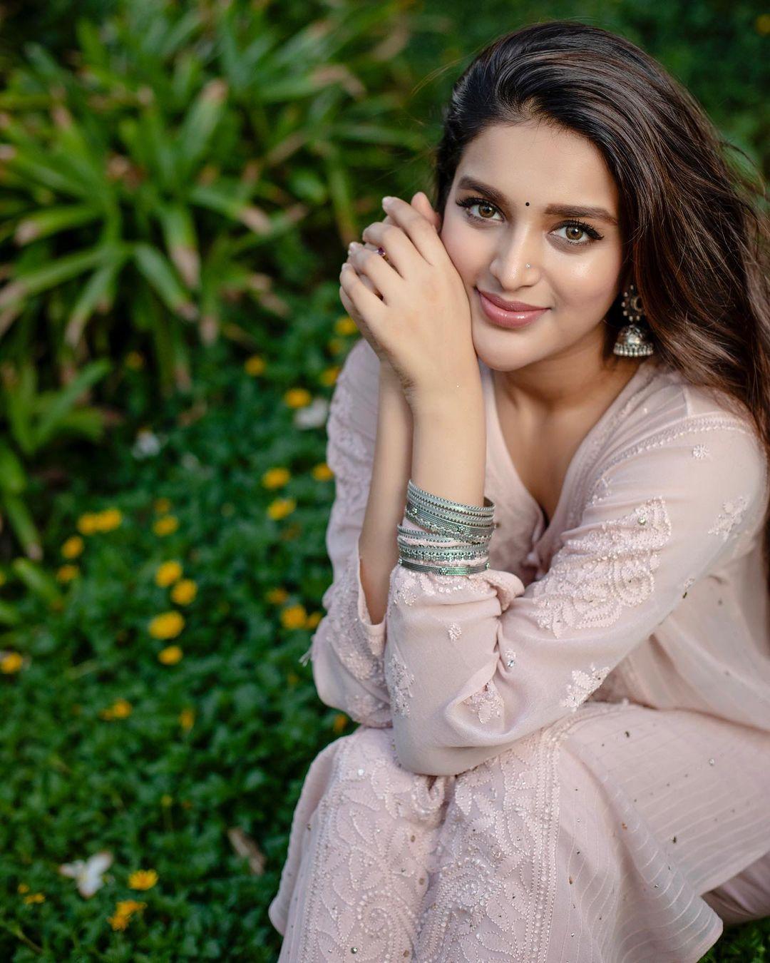 Nidhhi Agerwal Actress hd photo