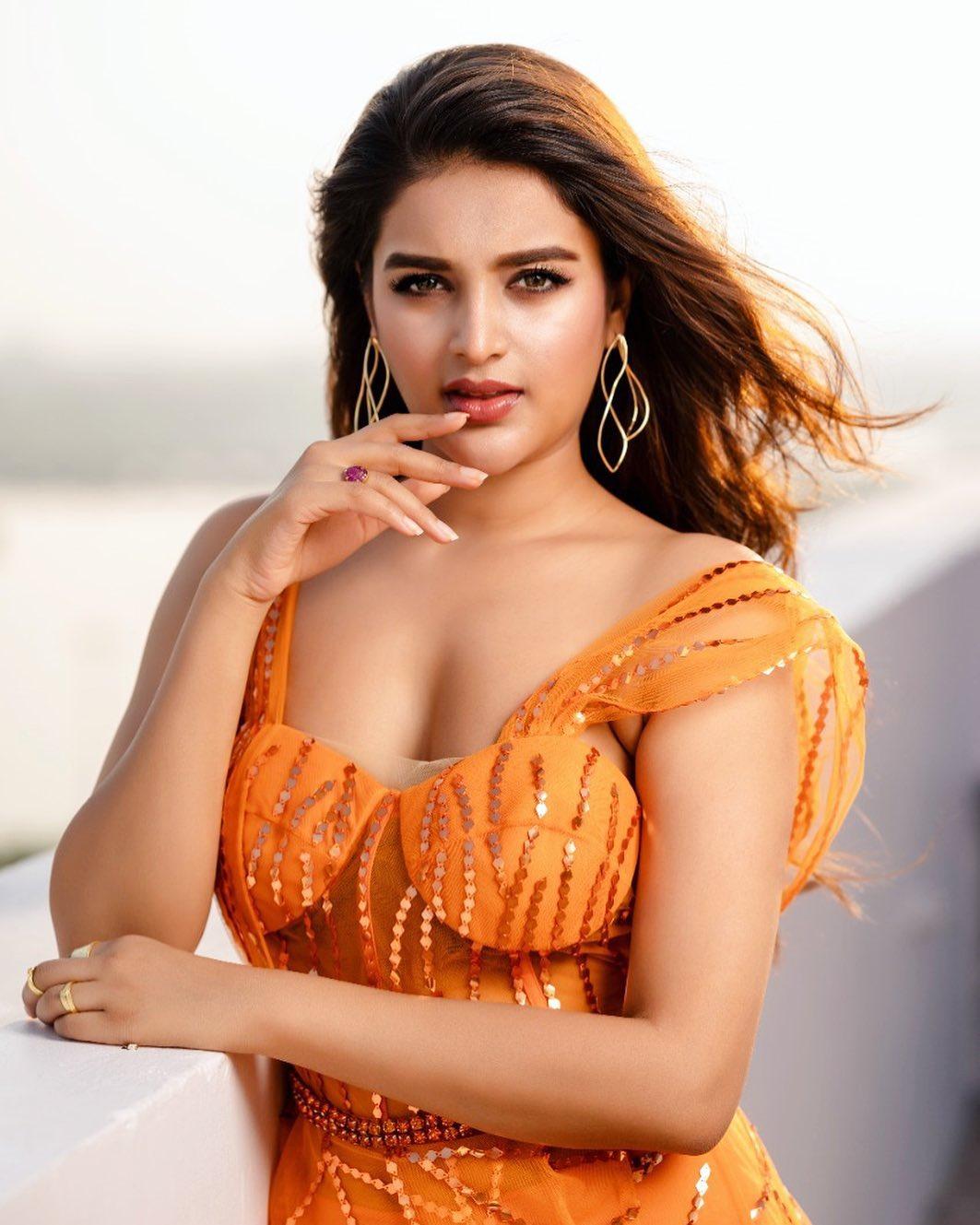 Nidhhi Agerwal Actress hd photo