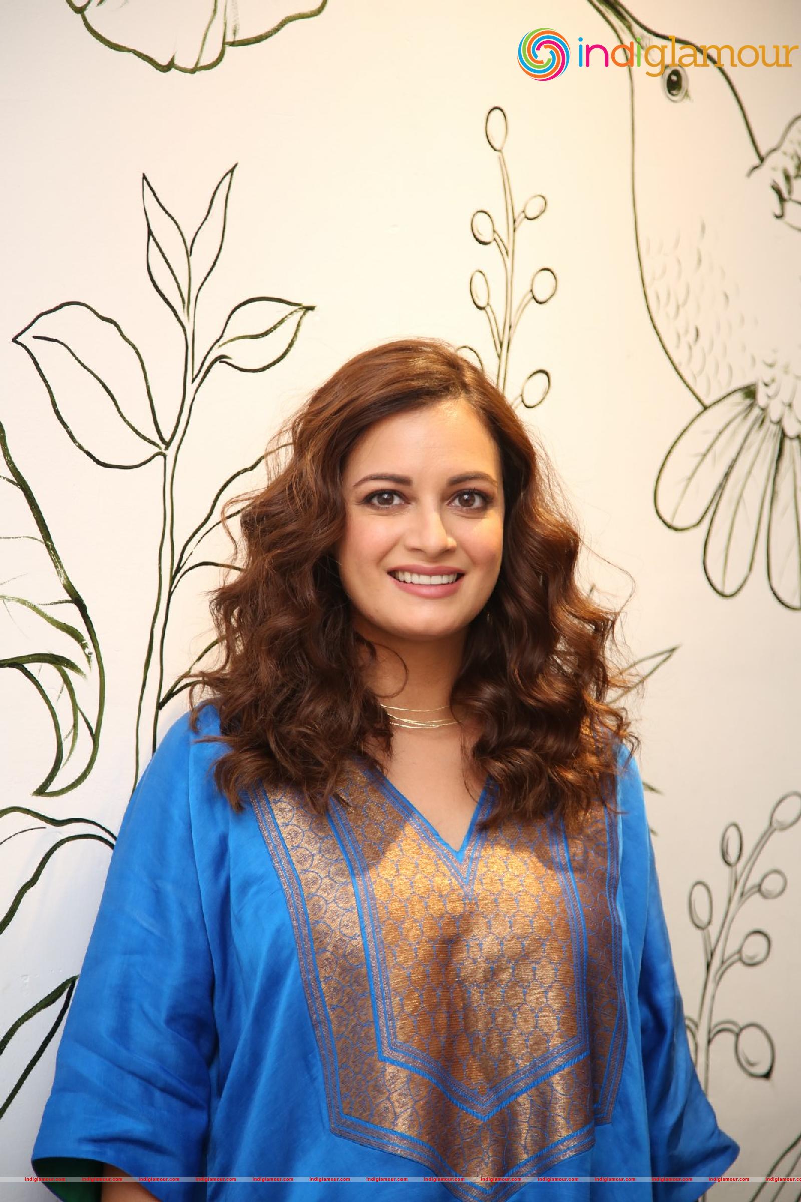 Dia Mirza Actress hd photo