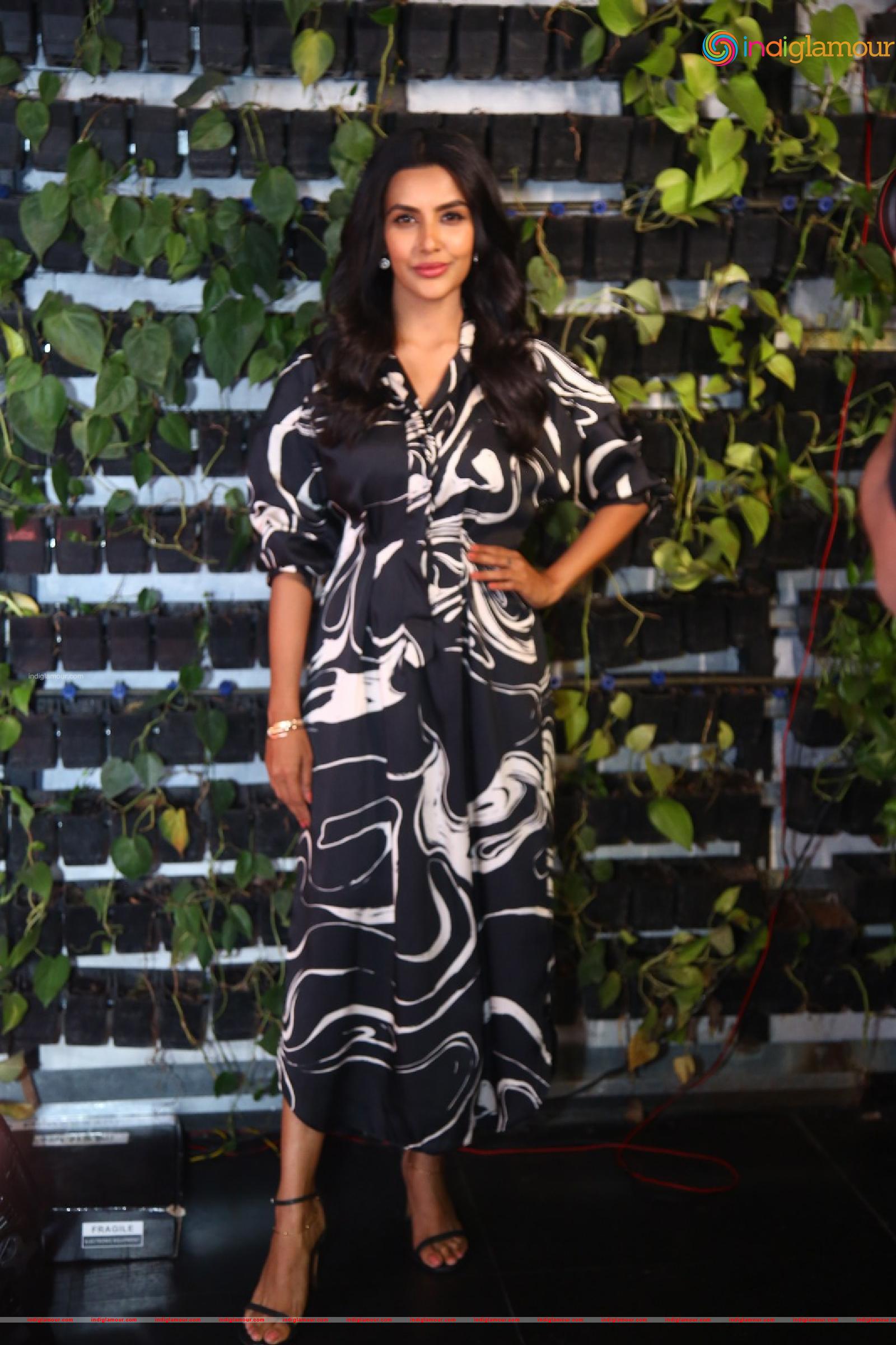 Priya Anand Actress hd photo