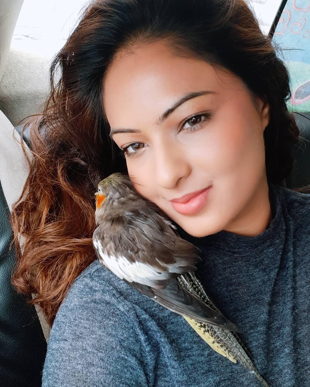 Nikesha Patel Actress hd photo