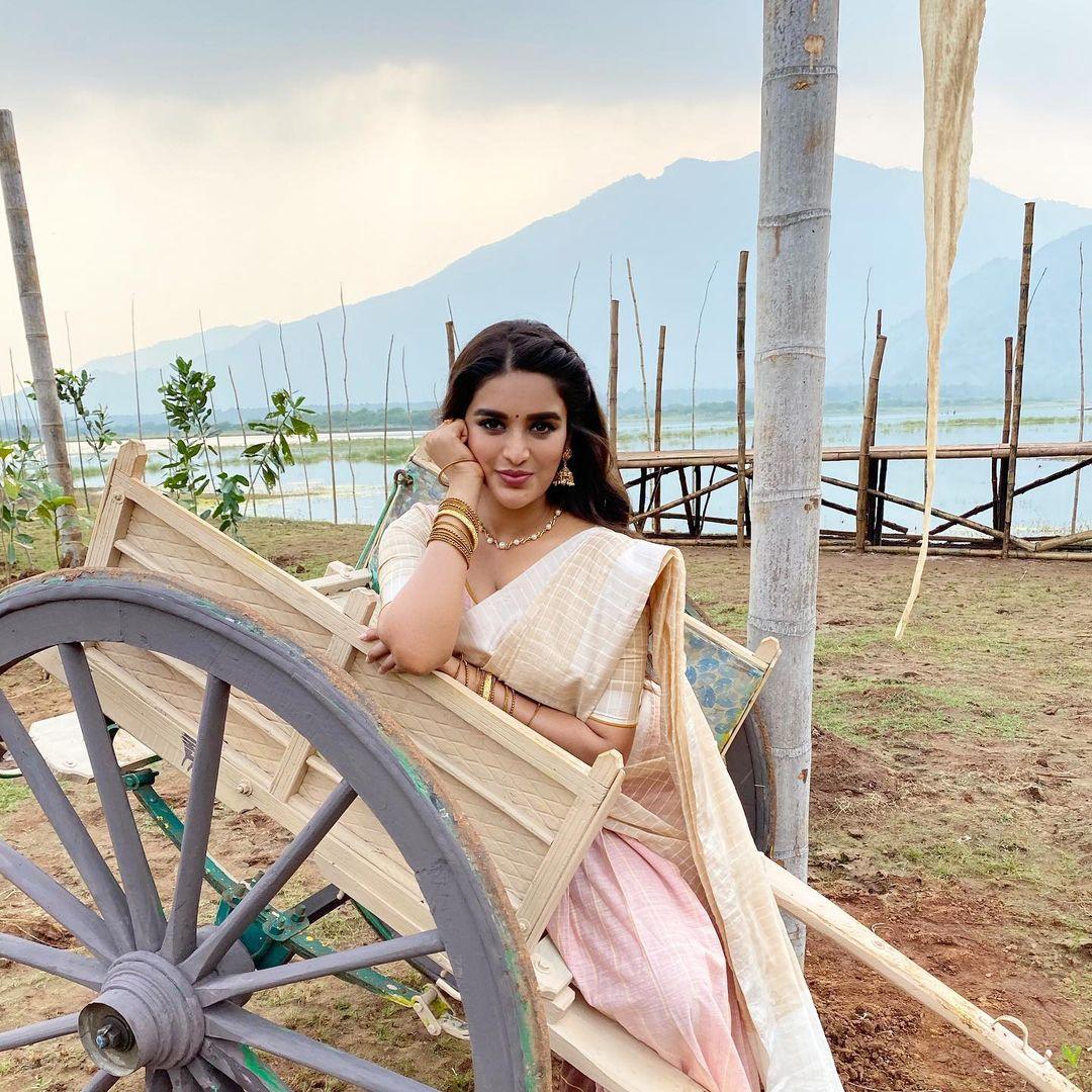 Nidhhi Agerwal Actress hd photo