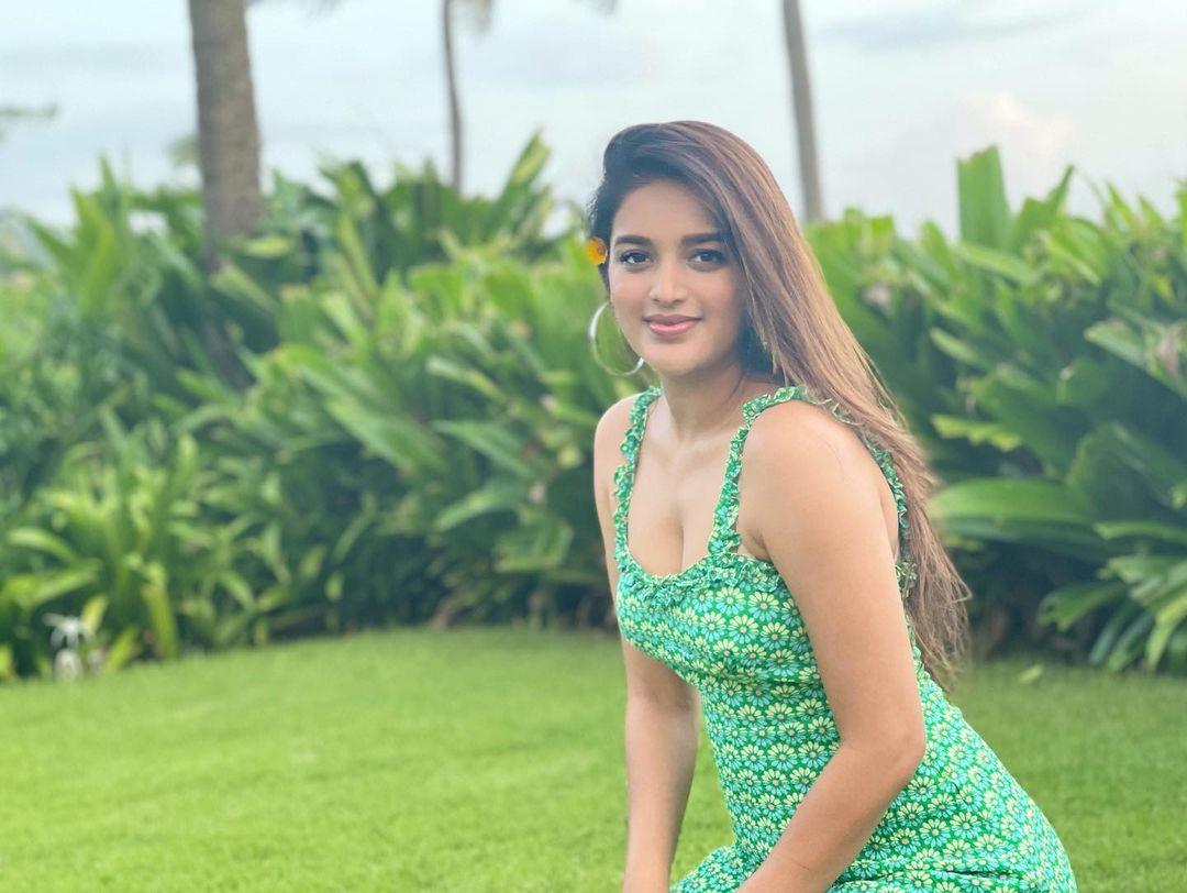 Nidhhi Agerwal Actress hd photo