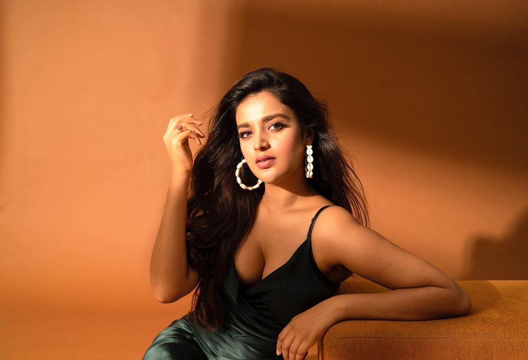 Nidhhi Agerwal Actress hd photo