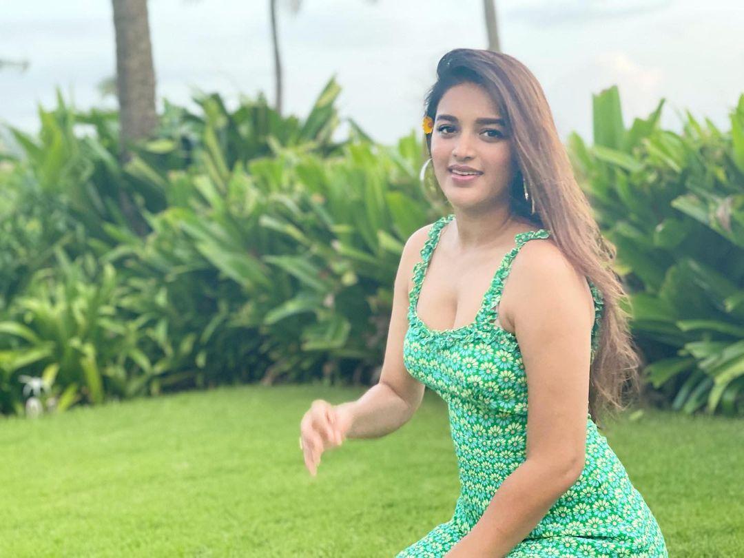 Nidhhi Agerwal Actress hd photo