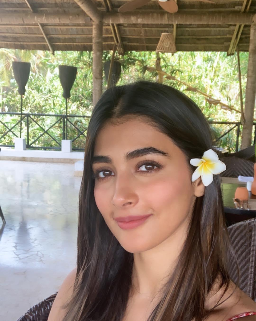 Pooja Hegde Actress hd photo