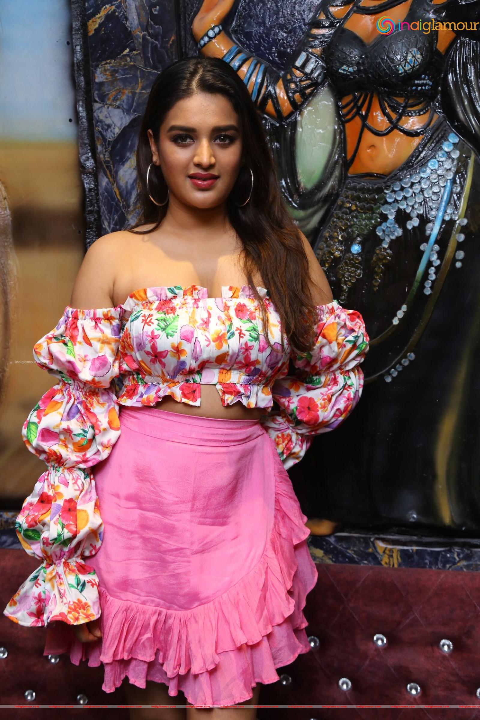 Nidhi Agarwal Actress hd photo
