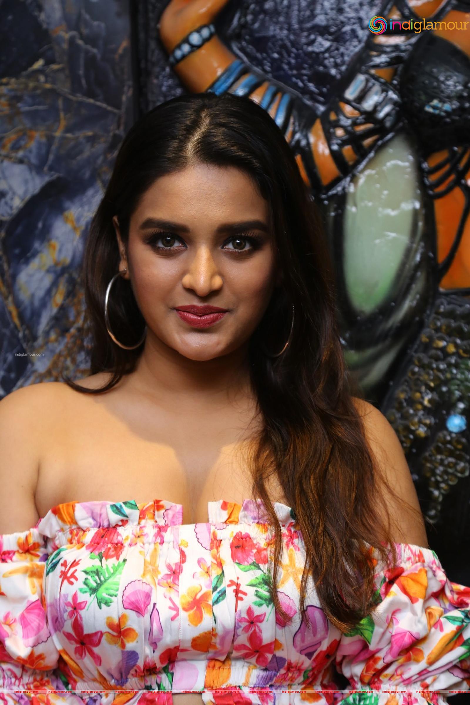 Nidhi Agarwal Actress hd photo