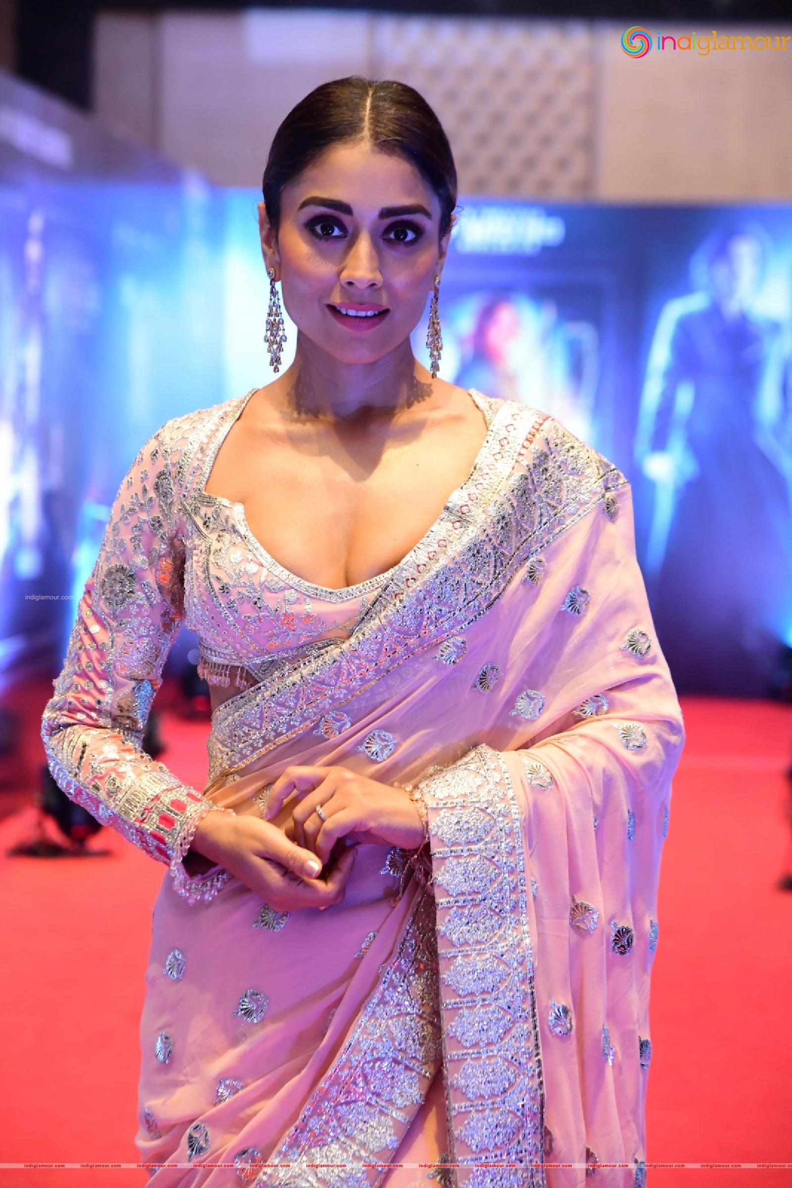 Shriya Saran Actress hd photo