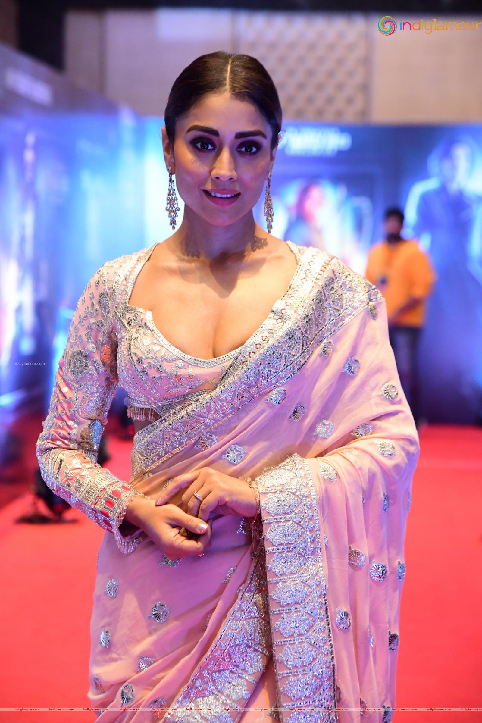 Shriya Saran Actress hd photo
